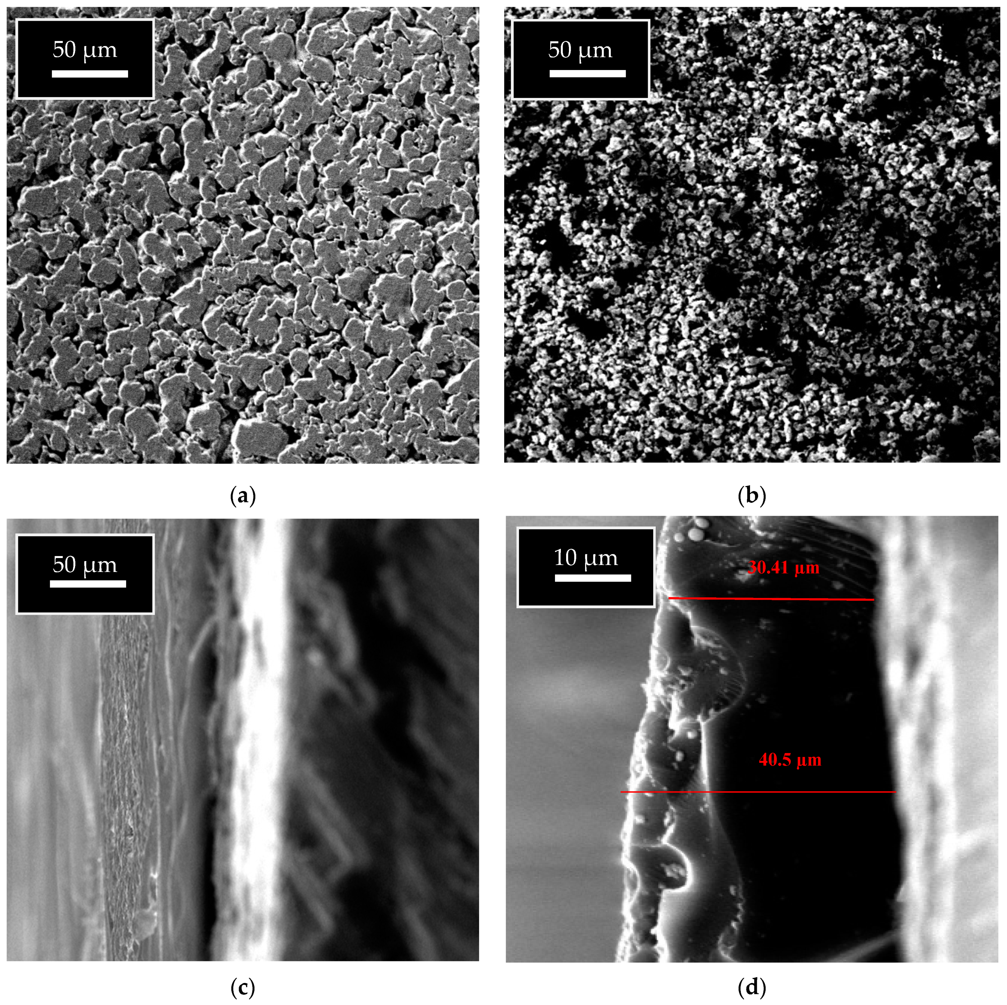 Membranes 11 00160 g003
