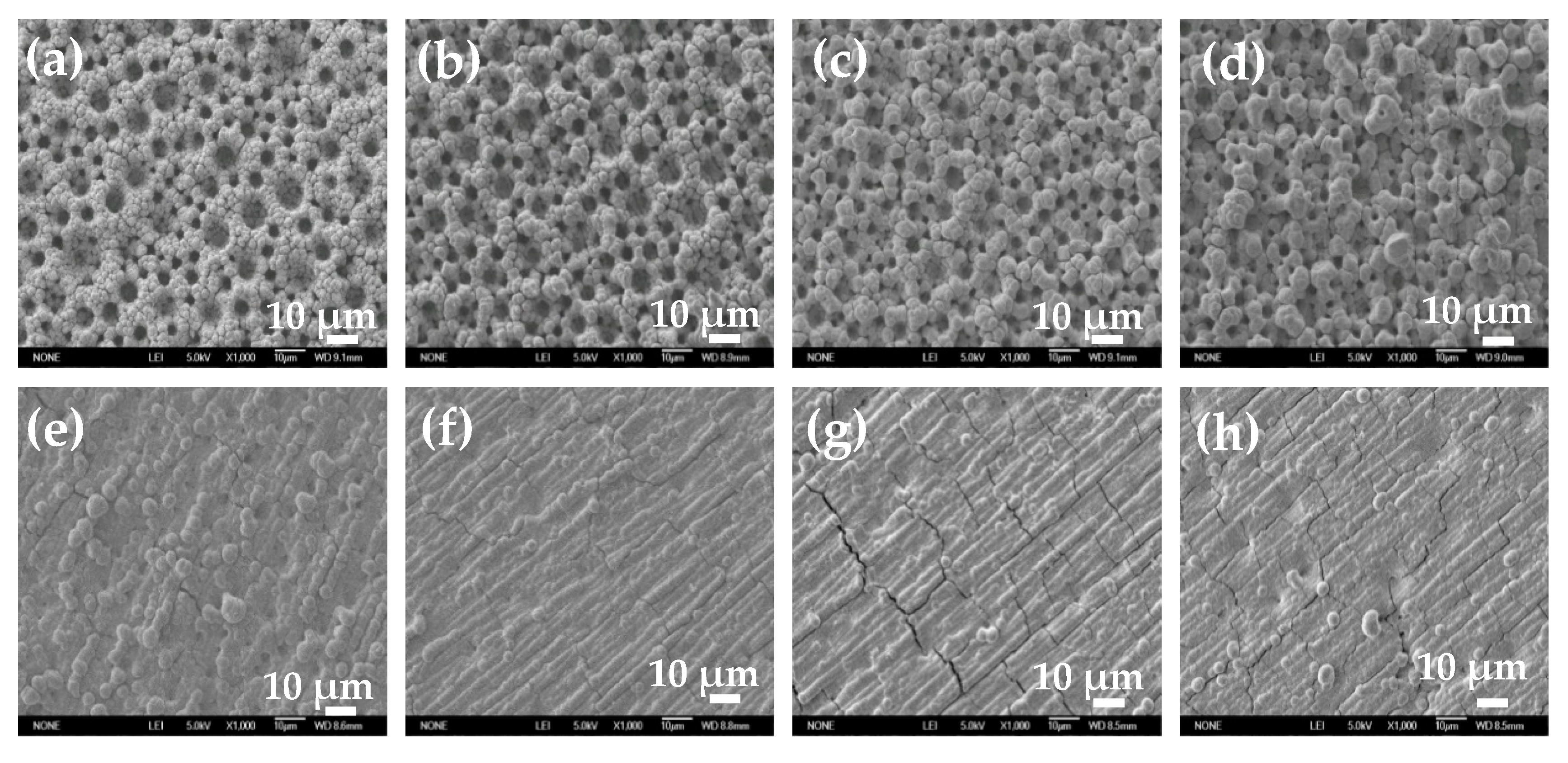 Membranes 11 00165 g005