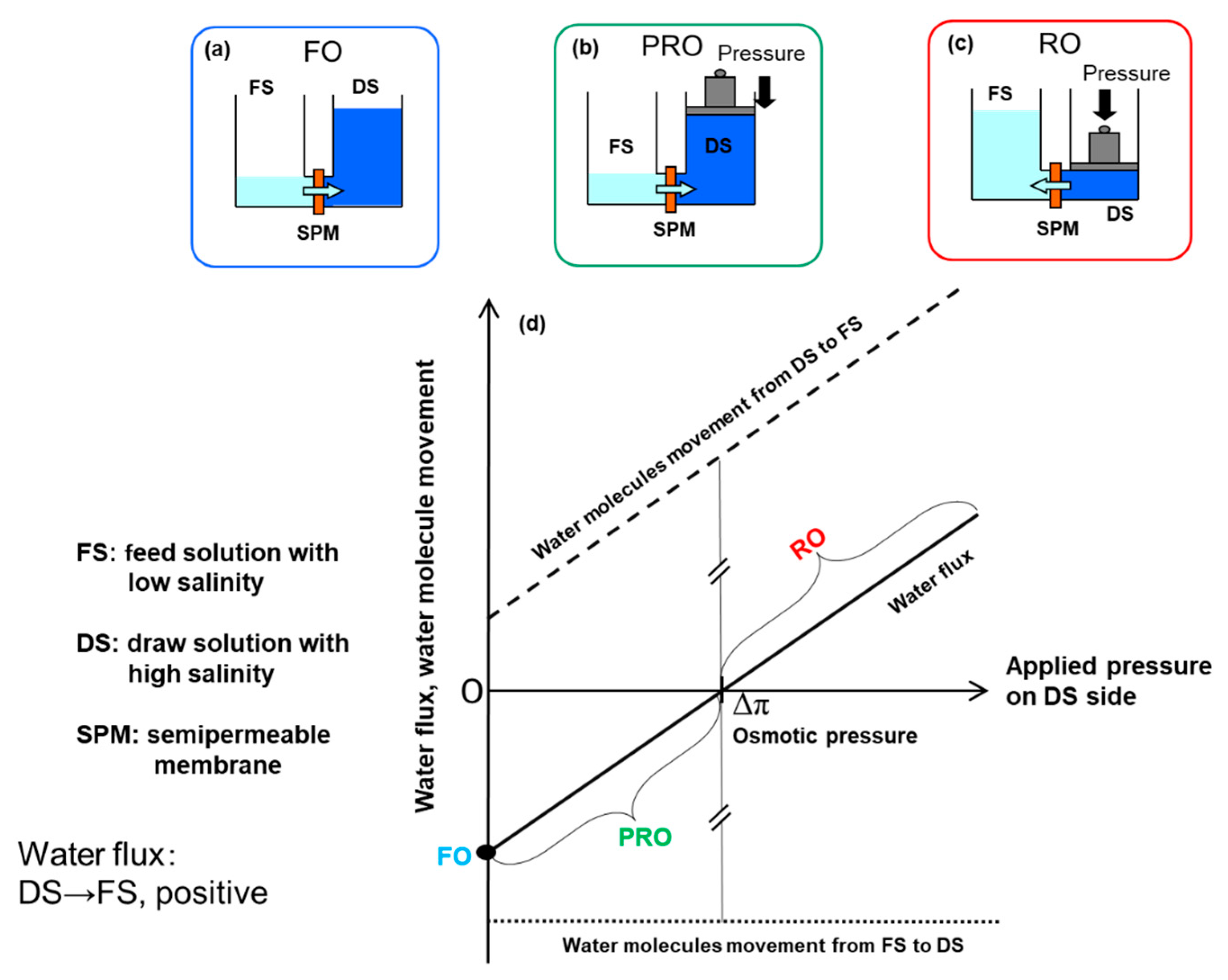 Membranes Free Full Text Comparison Of Pressure Retarded Osmosis Performance Between Pilot Scale Cellulose Triacetate Hollow Fiber And Polyamide Spiral Wound Membrane Modules Html