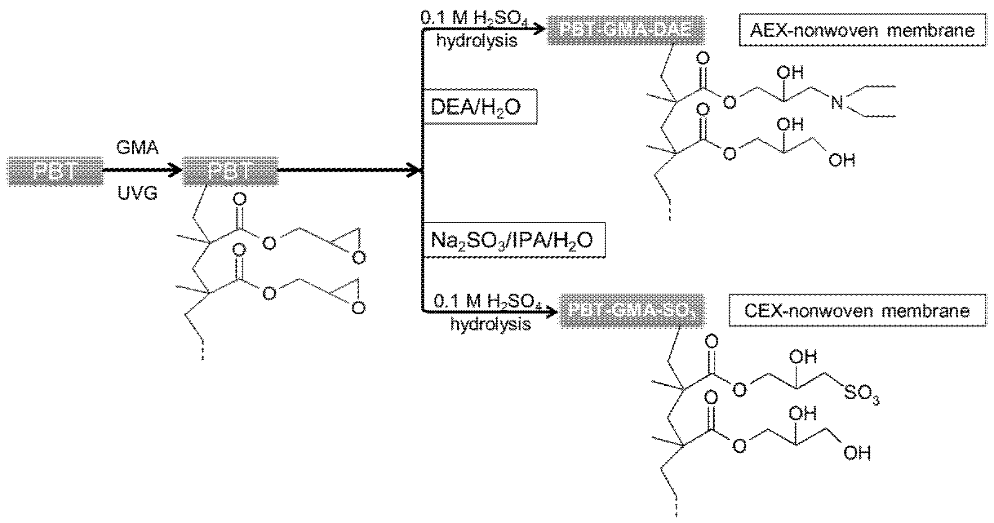 Membranes 11 00181 g001