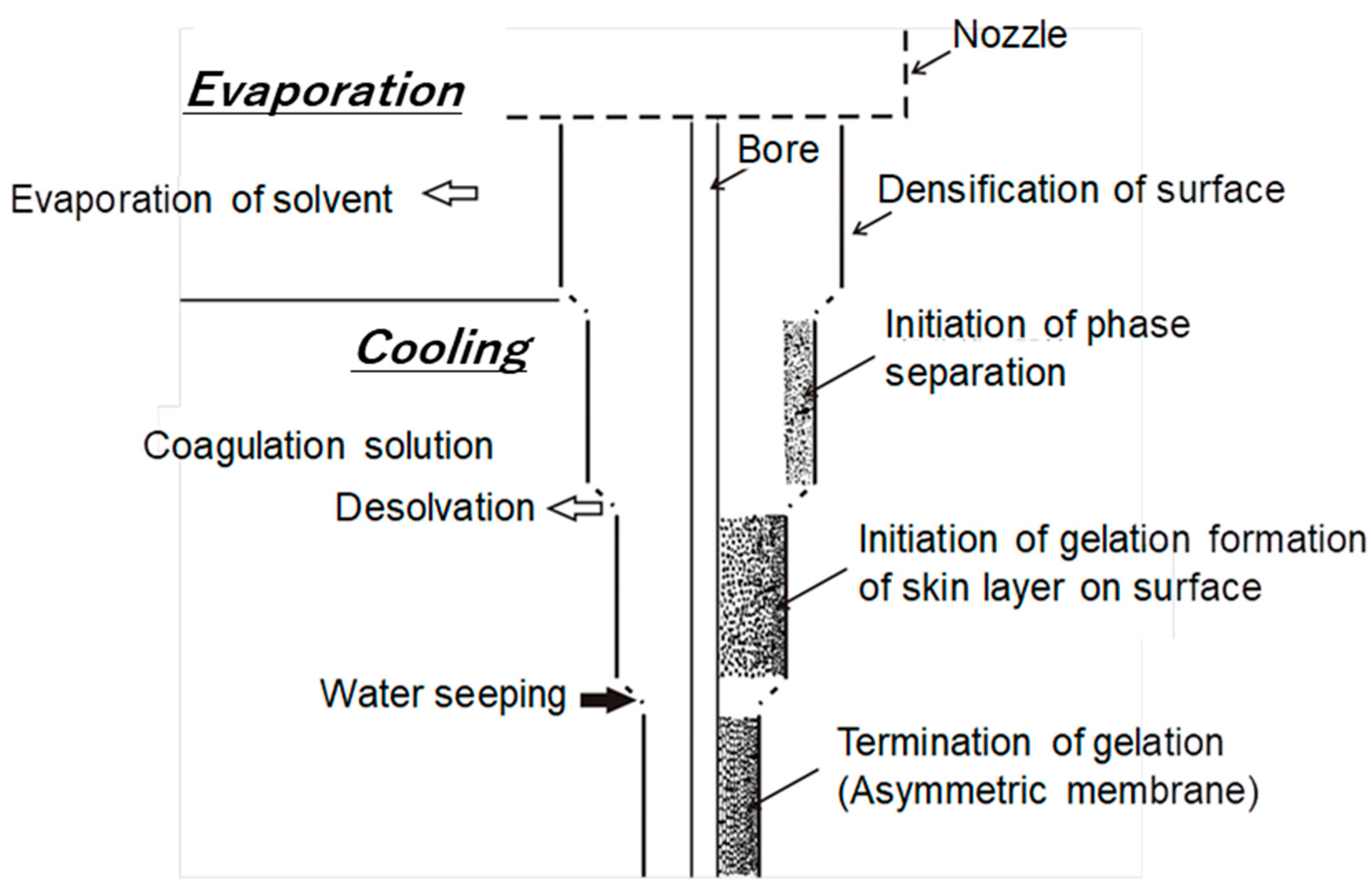 Membranes 11 00183 g001 Membranes 11 00183 g001