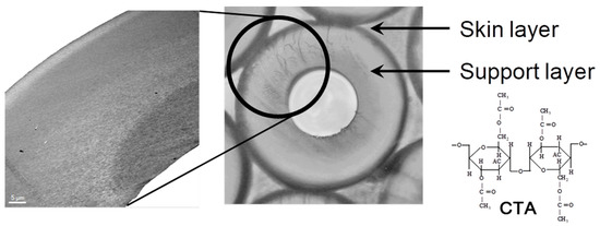 Membranes 11 00183 g002 550