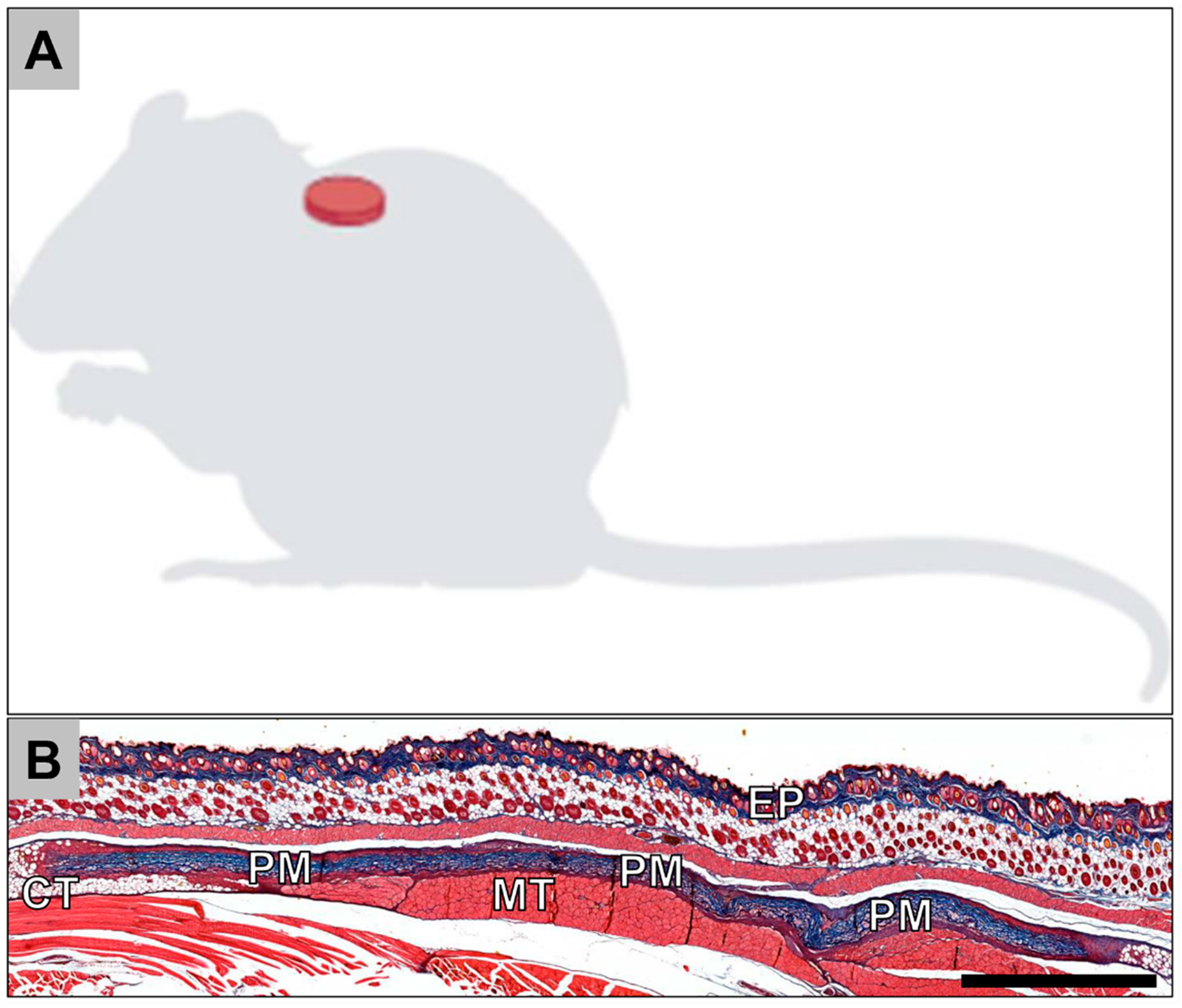 Membranes 11 00185 g001 Membranes 11 00185 g001