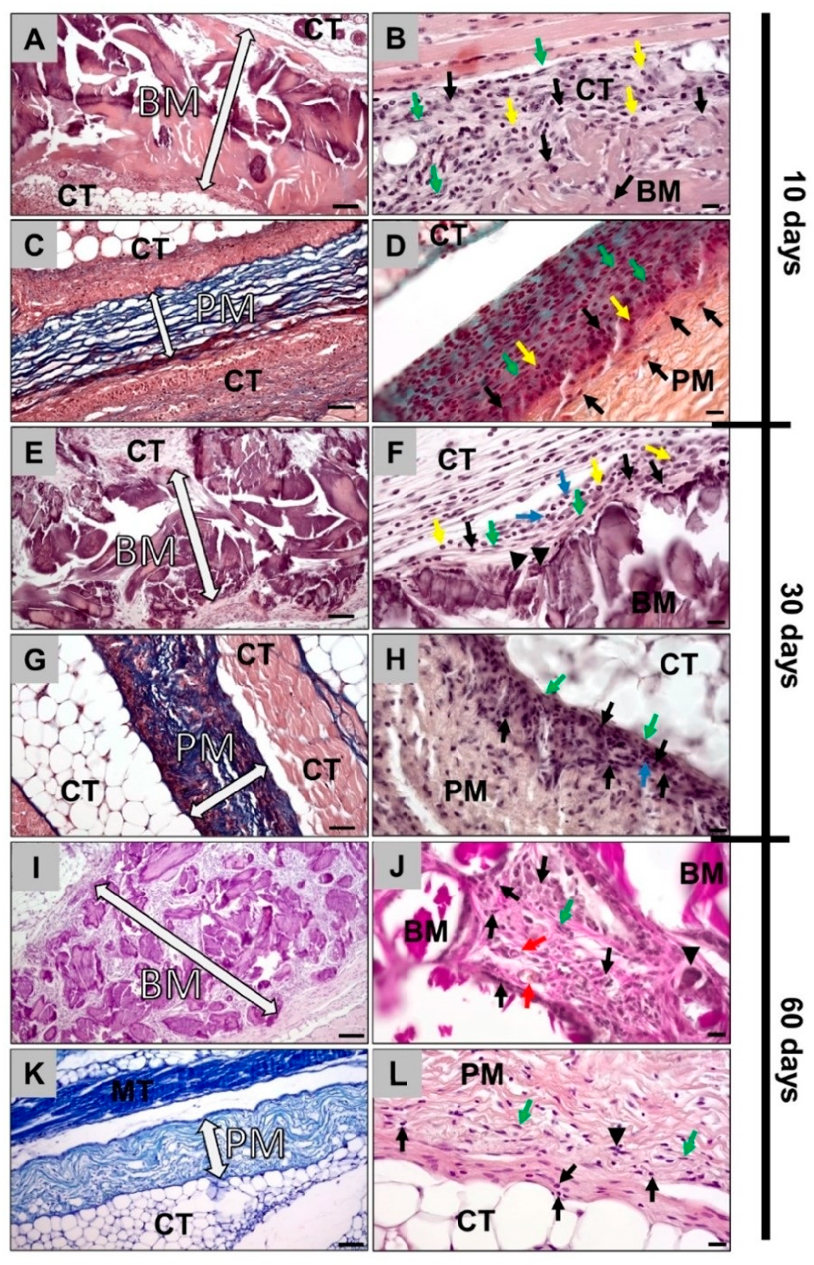 Membranes 11 00185 g002 Membranes 11 00185 g002
