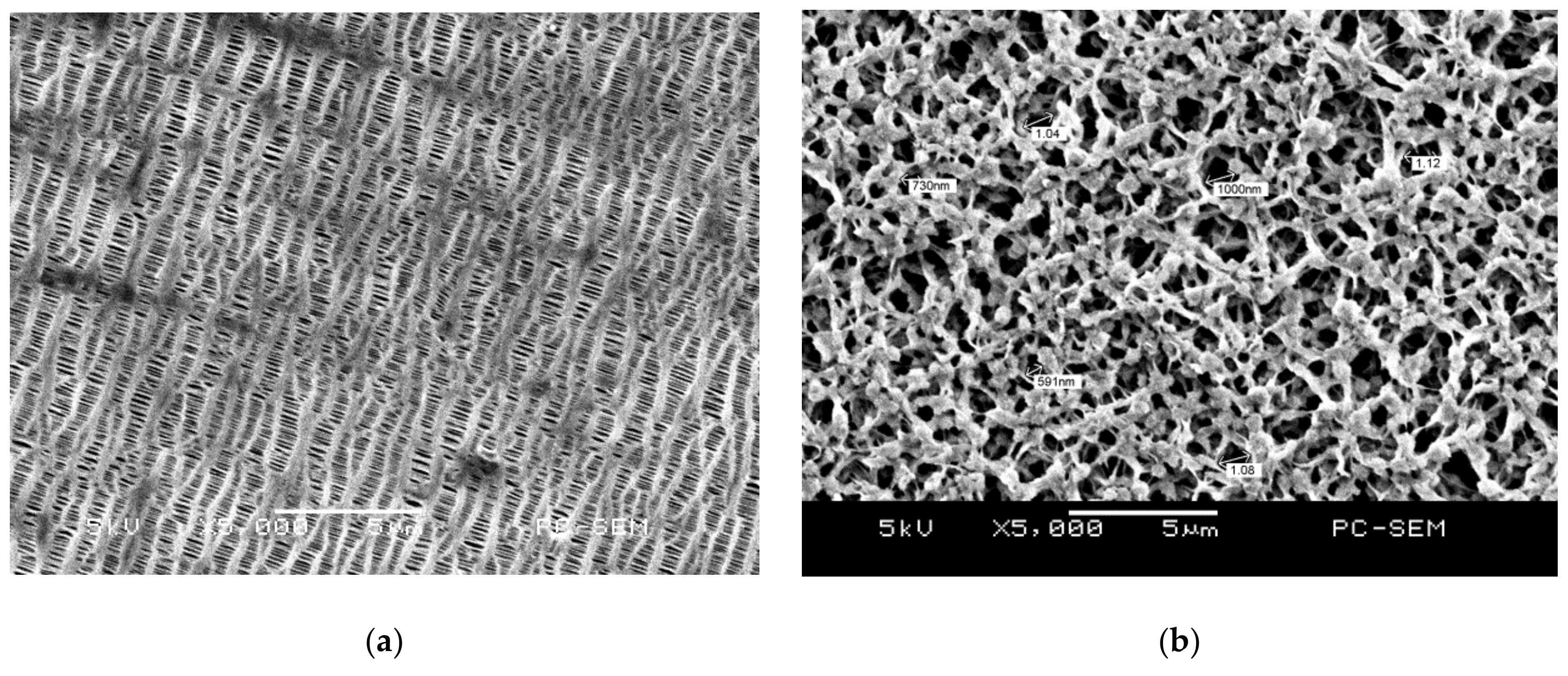Membranes 11 00186 g005a Membranes 11 00186 g005a