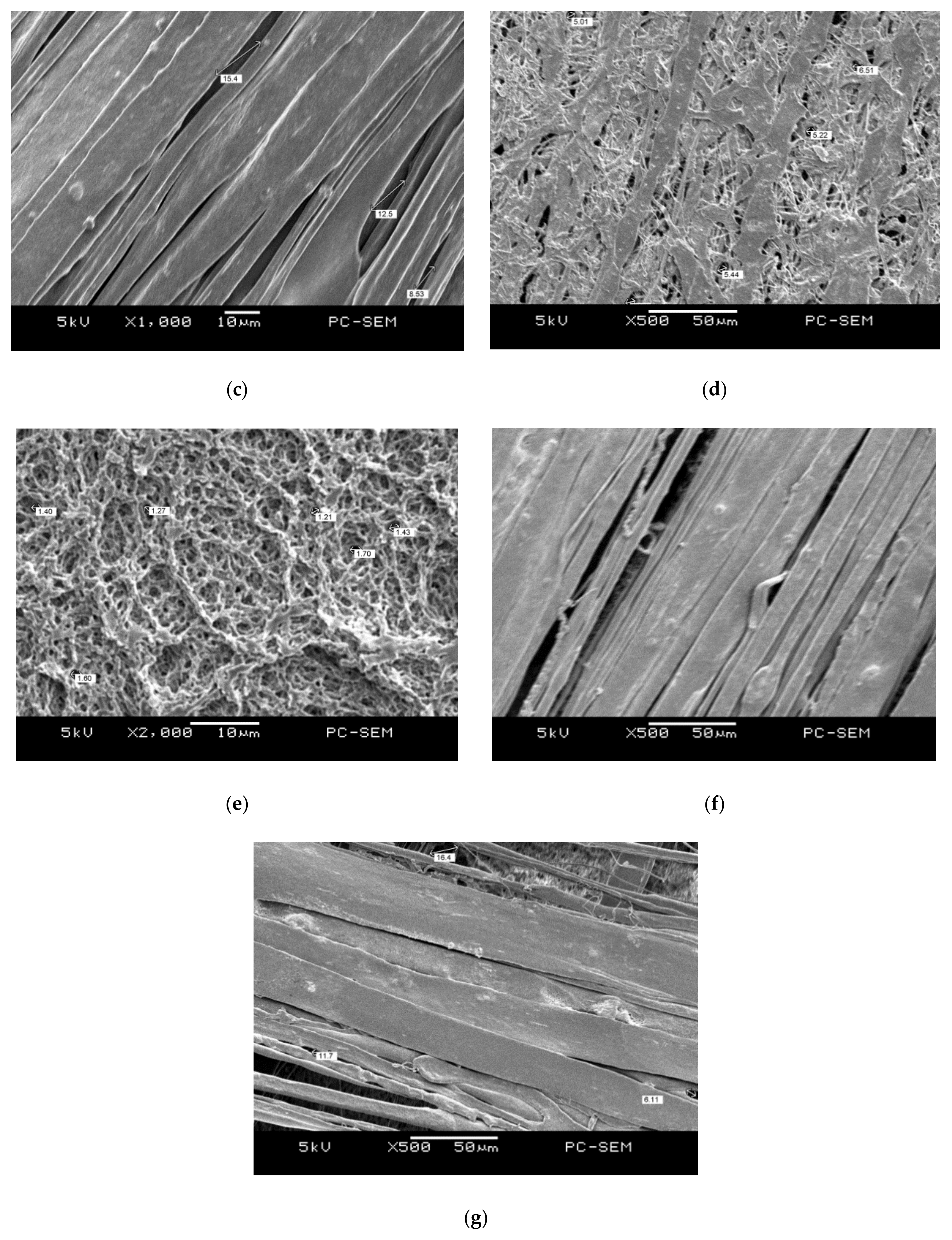 Membranes 11 00186 g005b Membranes 11 00186 g005b