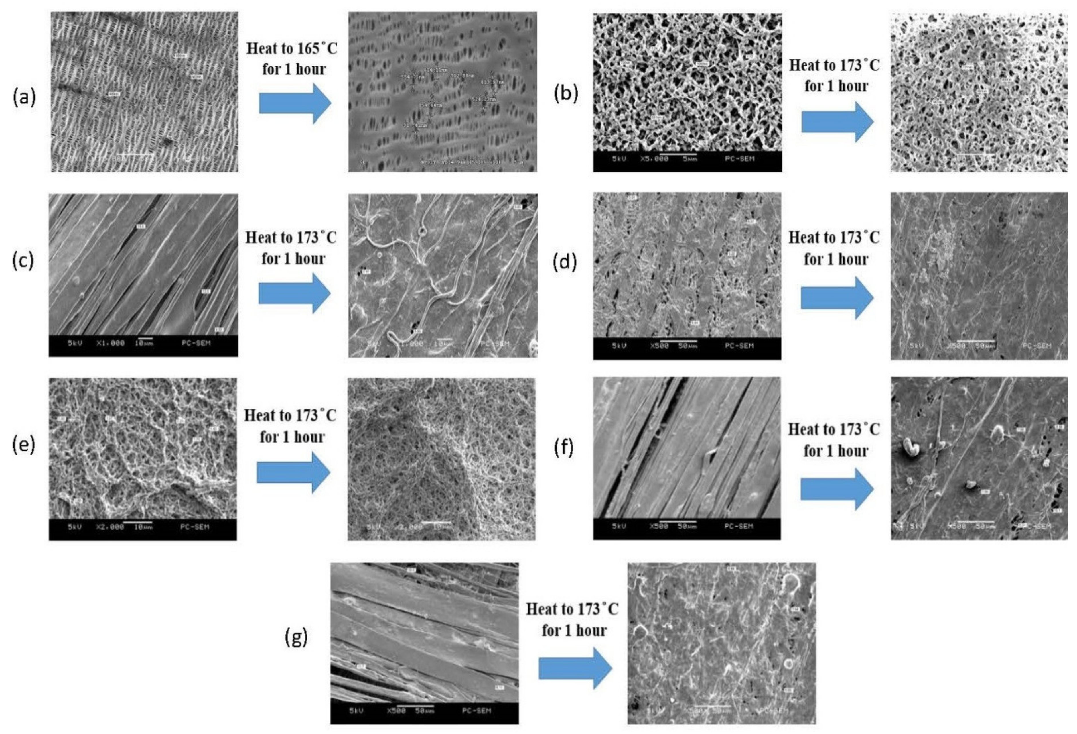 Membranes 11 00186 g008 Membranes 11 00186 g008