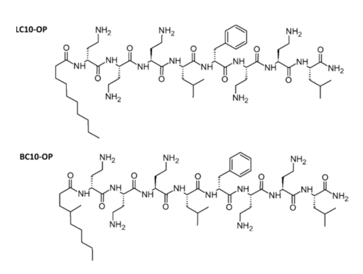 Membranes 11 00192 sch001