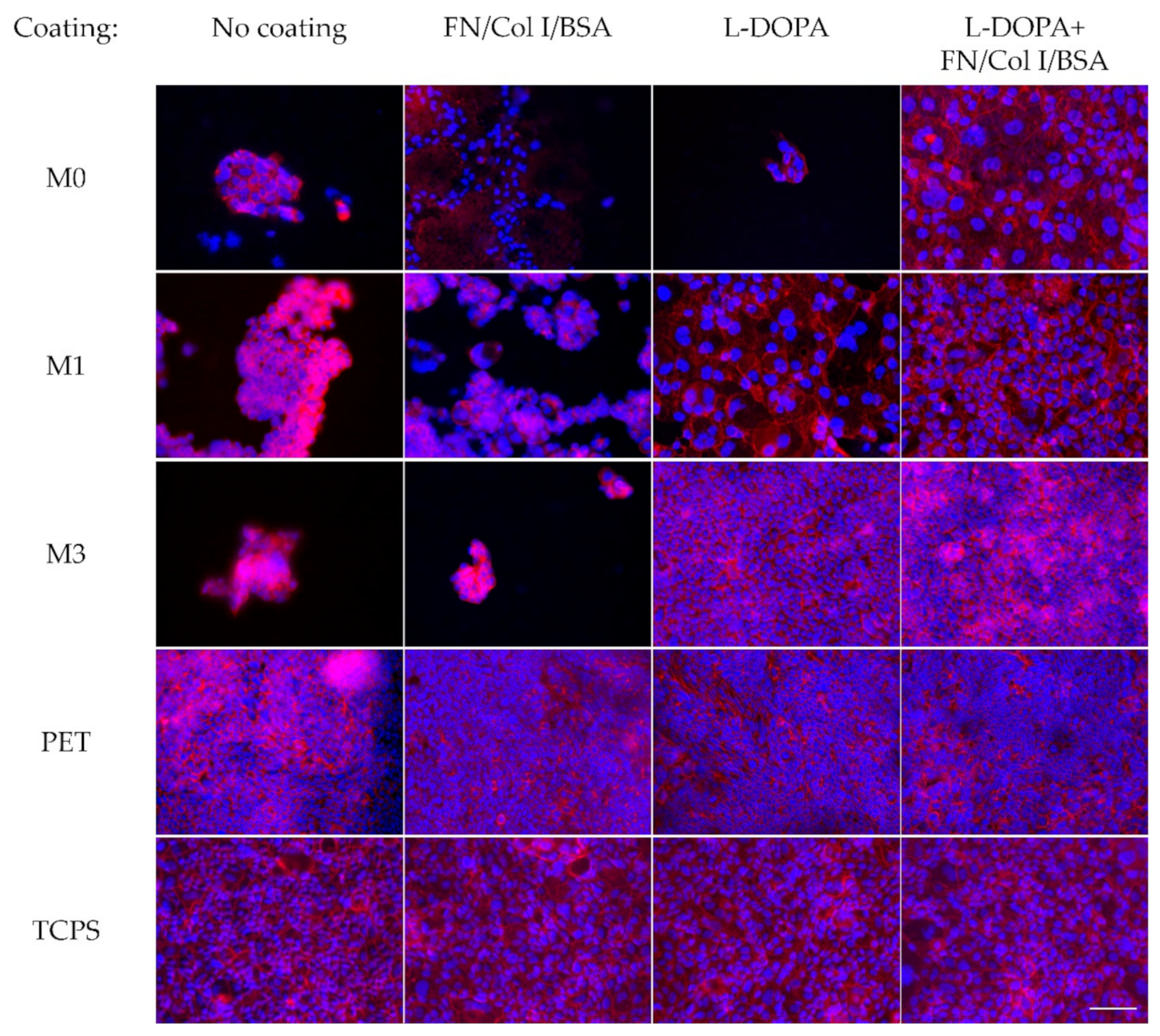 Membranes 11 00197 g001 Membranes 11 00197 g001