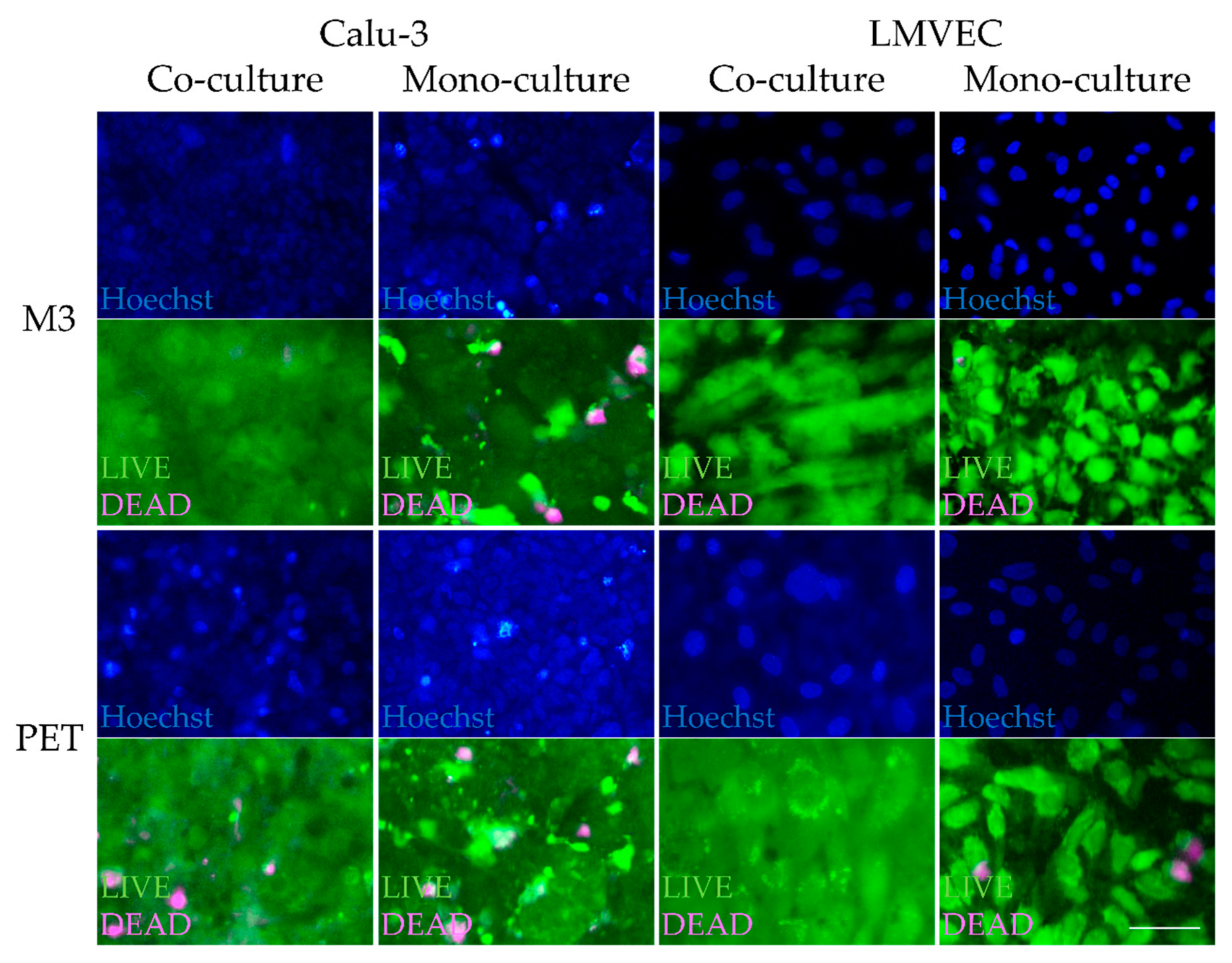 Membranes 11 00197 g003 Membranes 11 00197 g003