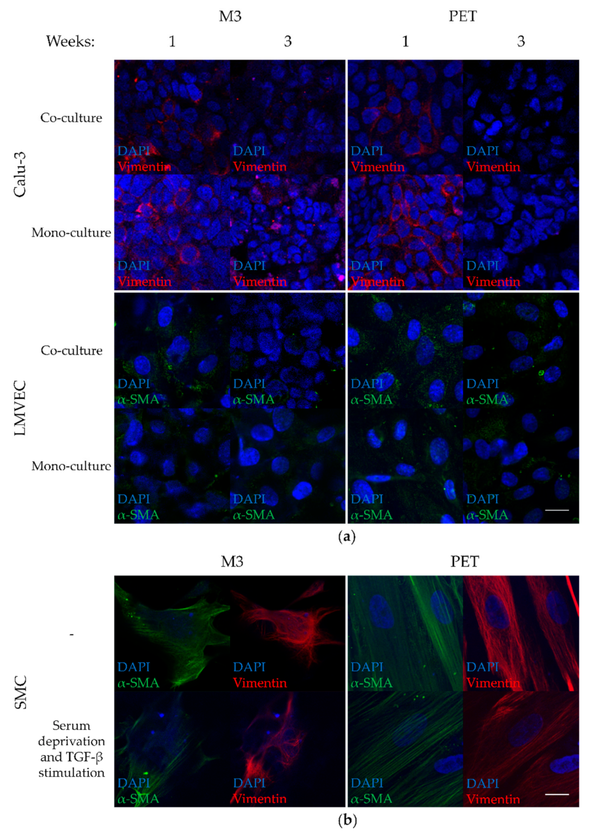 Membranes 11 00197 g005 Membranes 11 00197 g005