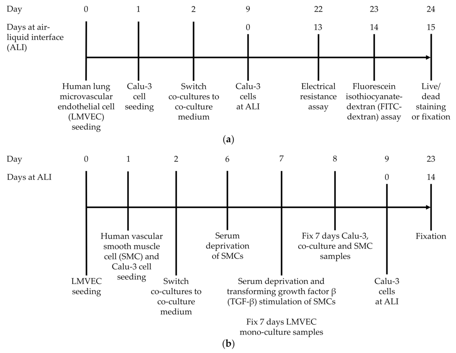Membranes 11 00197 sch001 Membranes 11 00197 sch001