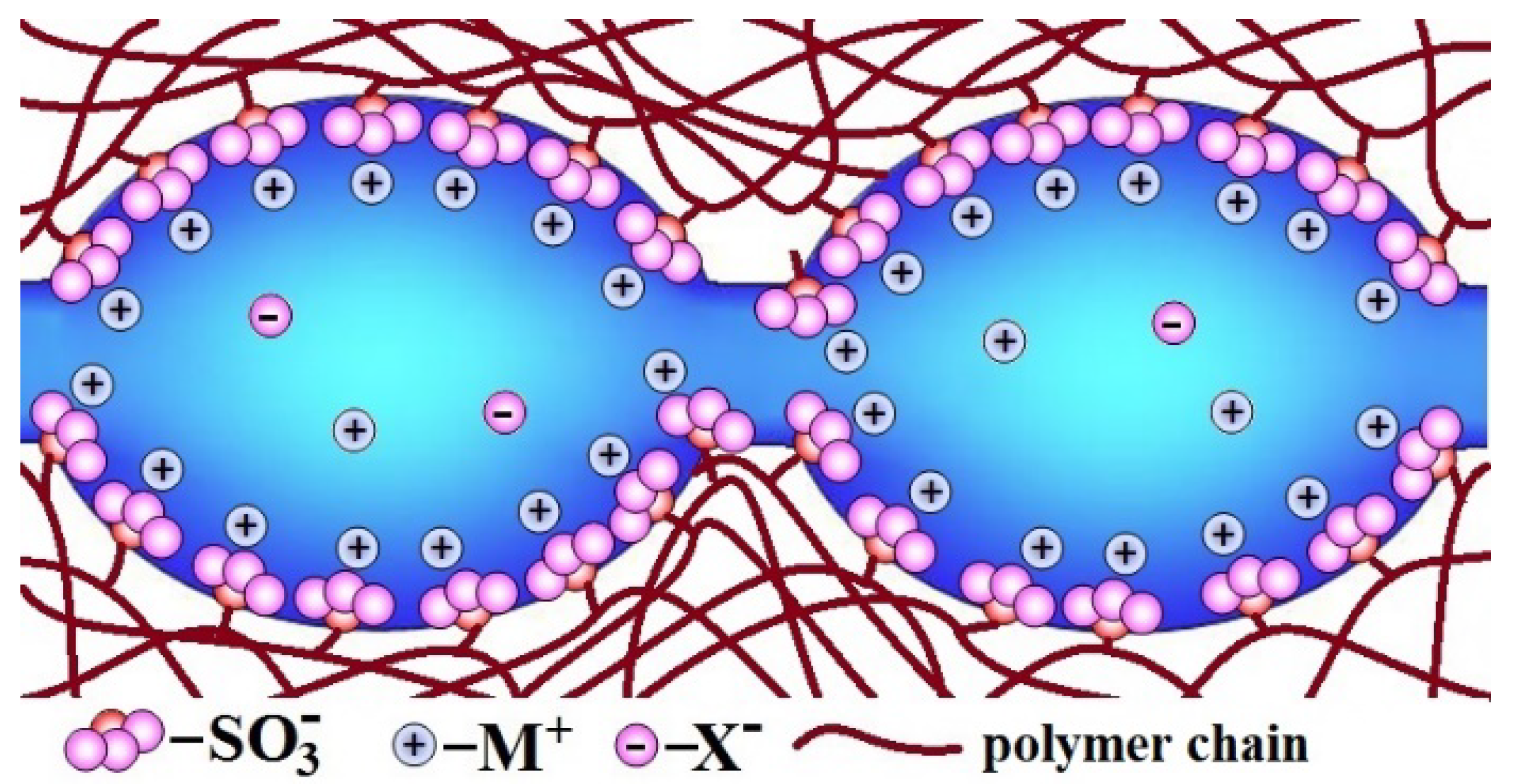 Membranes 11 00198 g005 Membranes 11 00198 g005