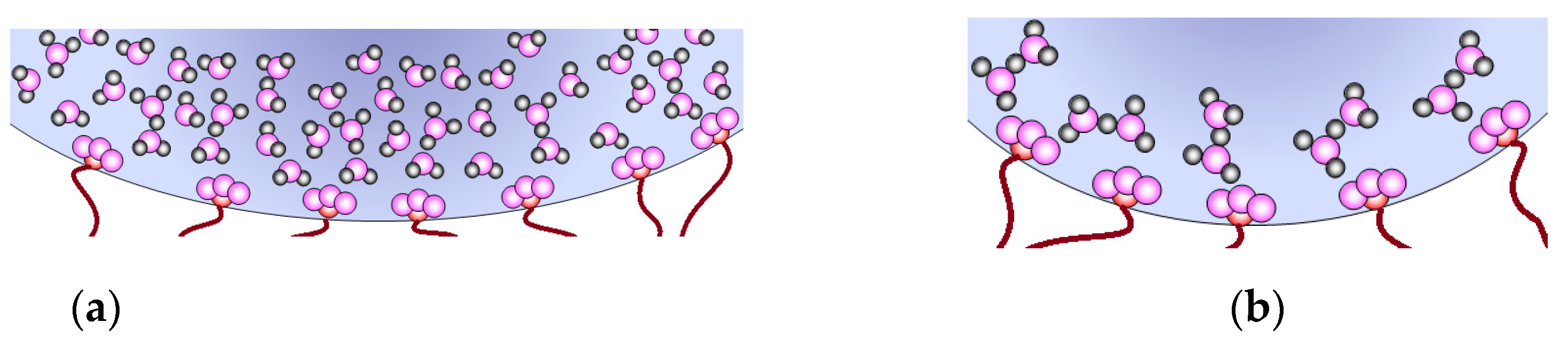 Membranes 11 00198 g006 Membranes 11 00198 g006