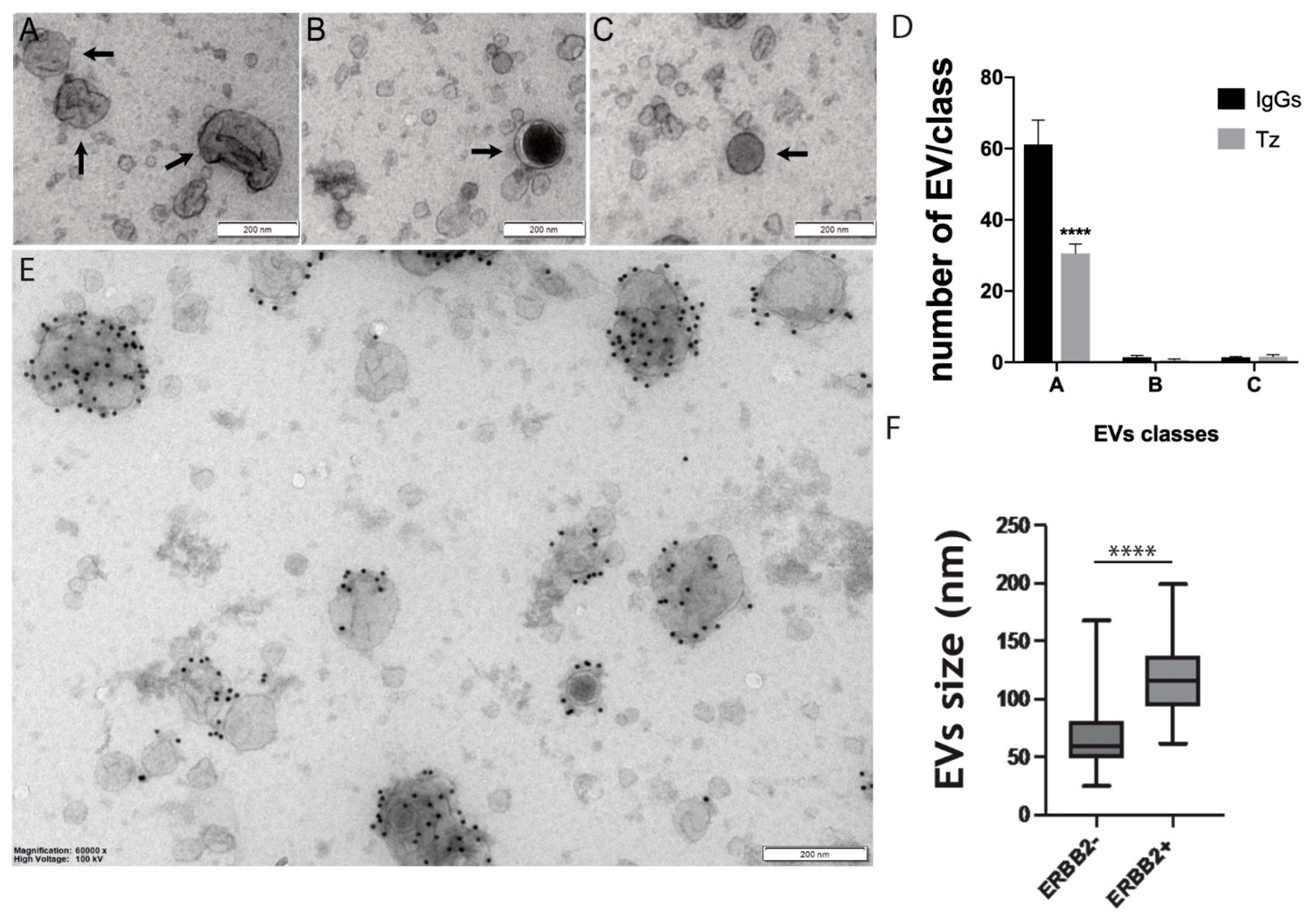 Membranes 11 00199 g001 Membranes 11 00199 g001