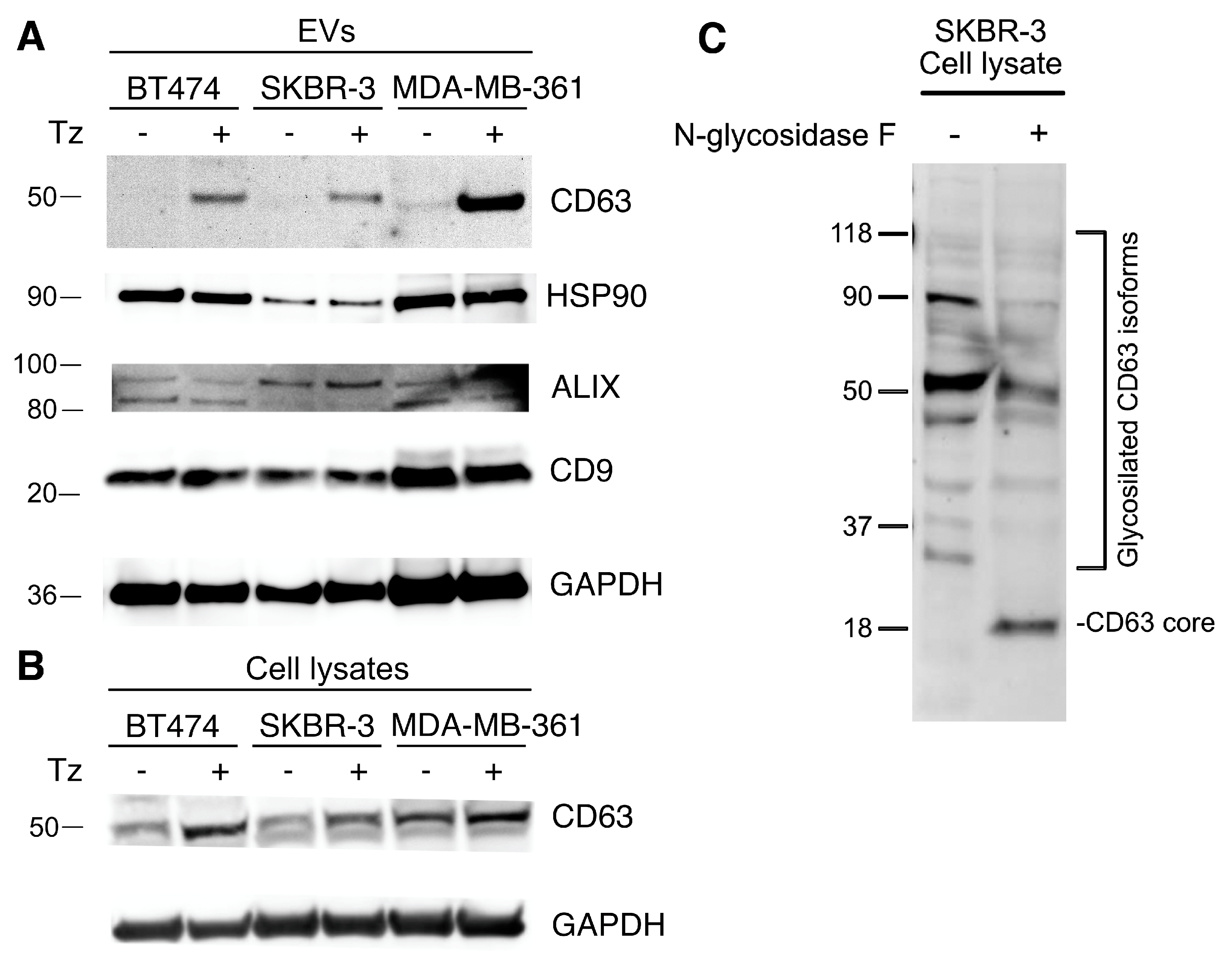 Membranes 11 00199 g002 Membranes 11 00199 g002