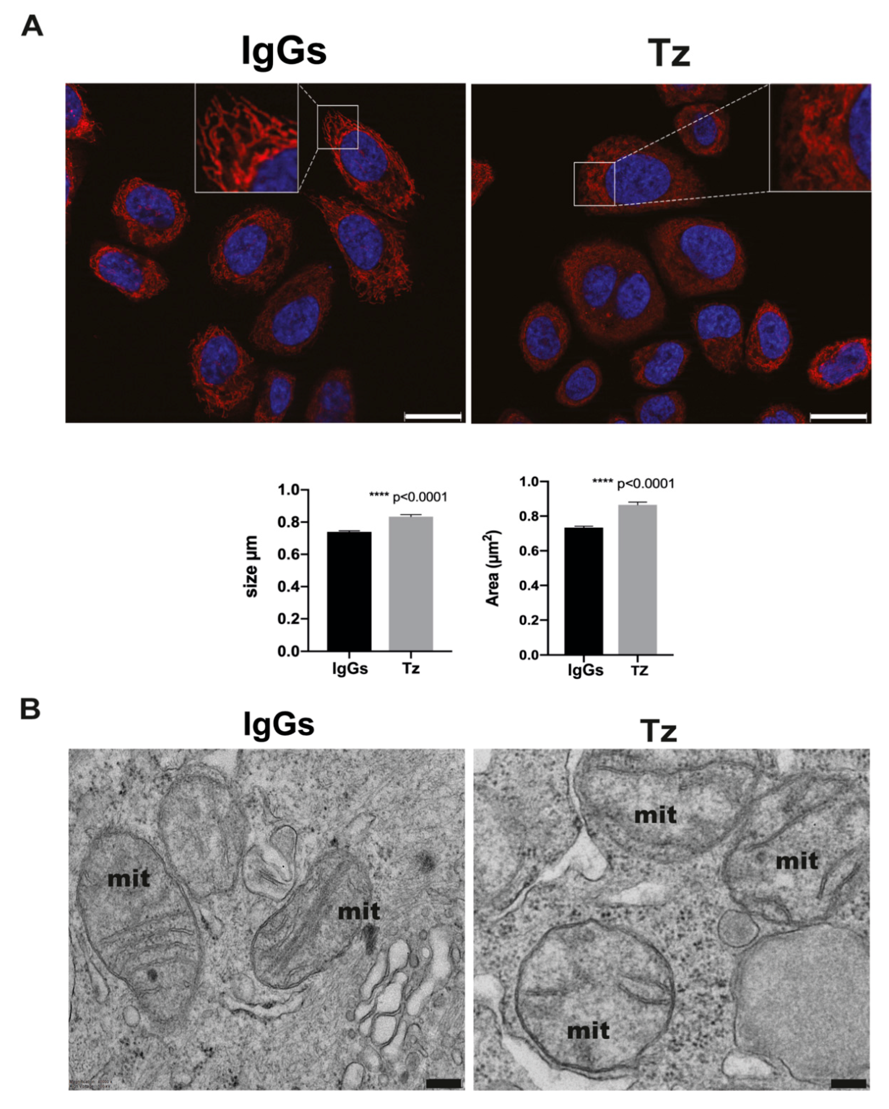 Membranes 11 00199 g005 Membranes 11 00199 g005