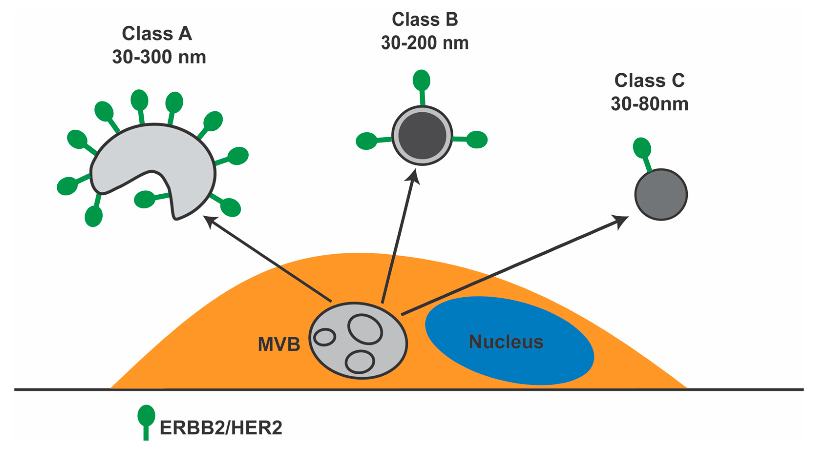 Membranes 11 00199 g006 Membranes 11 00199 g006