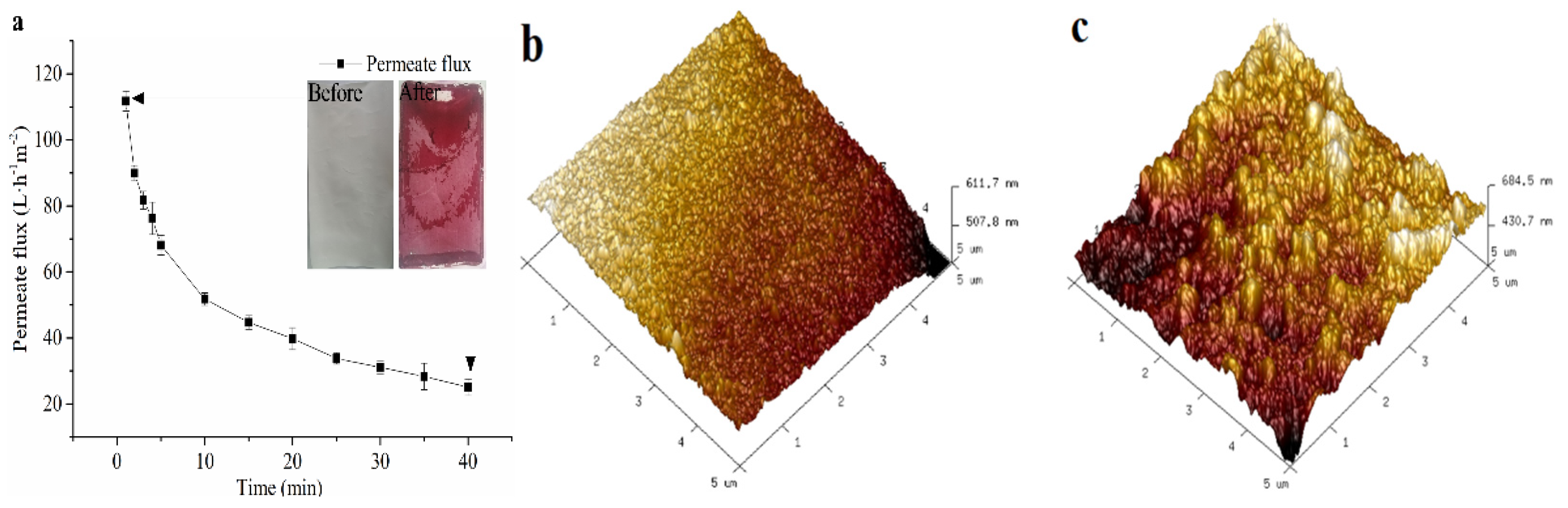 Membranes 11 00200 g002