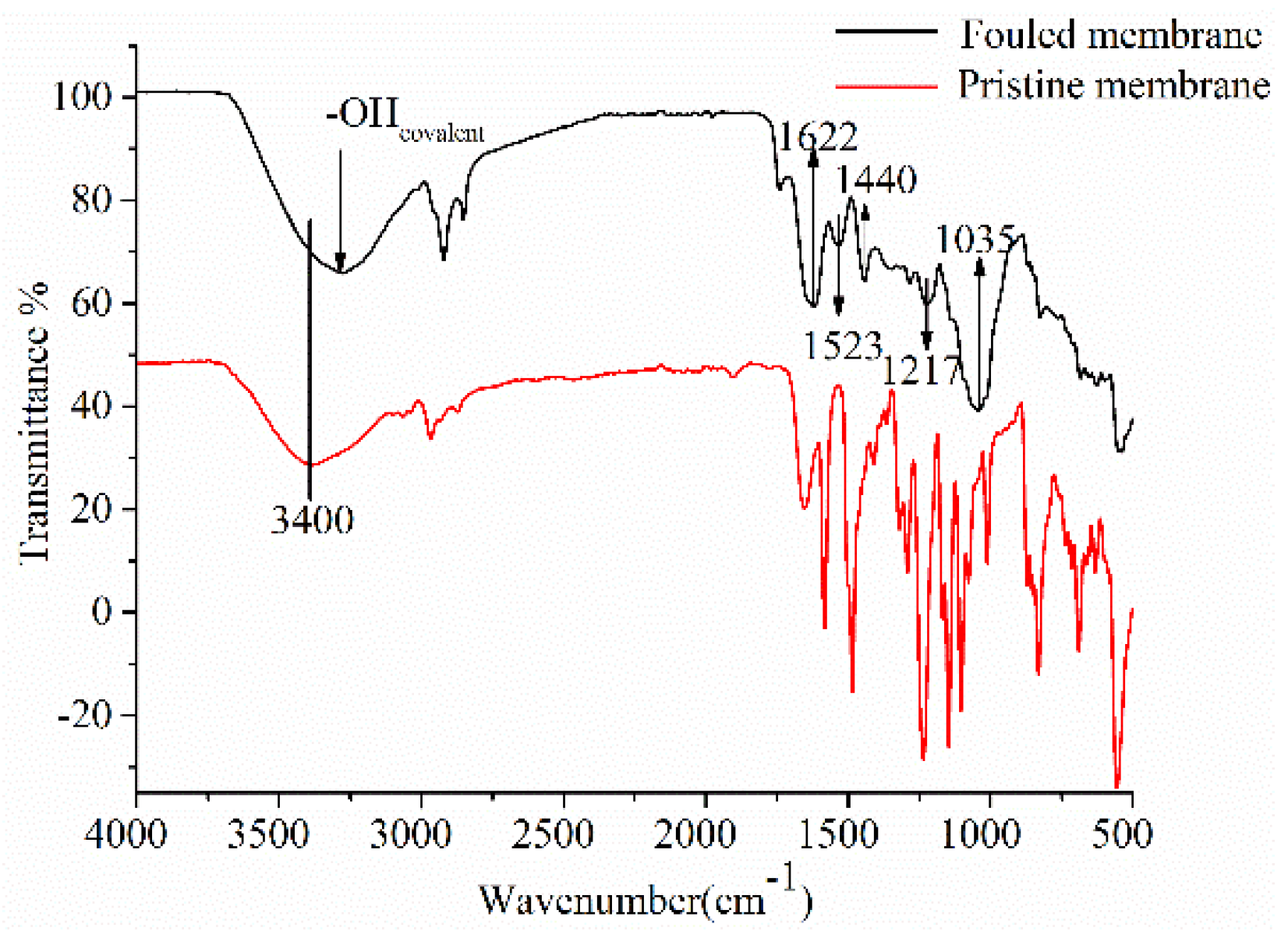 Membranes 11 00200 g005