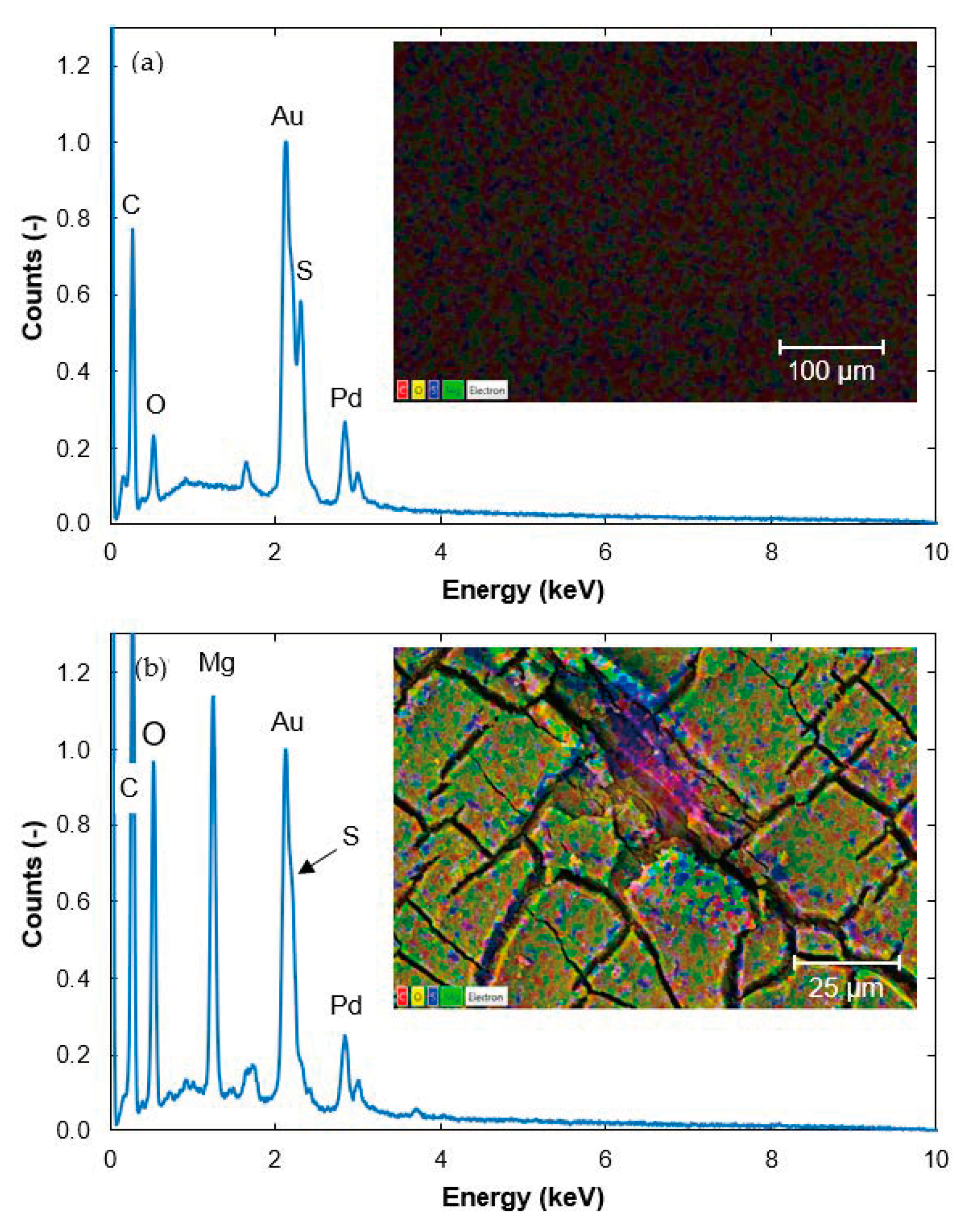 Membranes 11 00201 g002