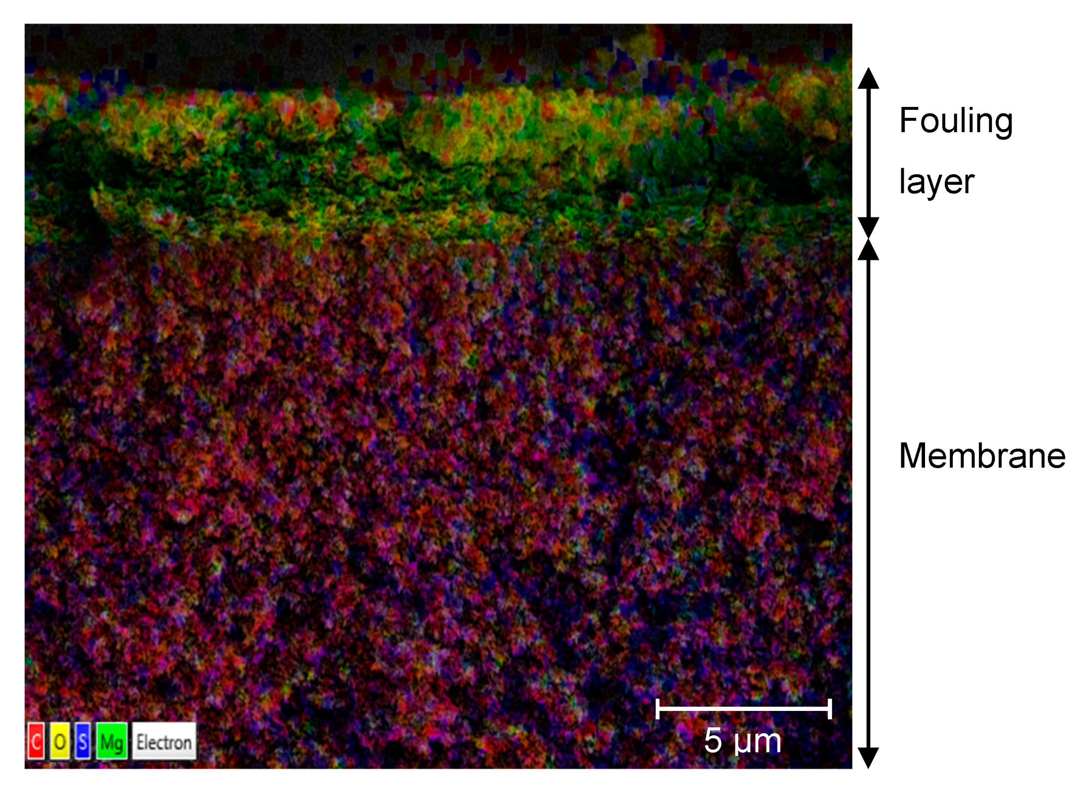 Membranes 11 00201 g003
