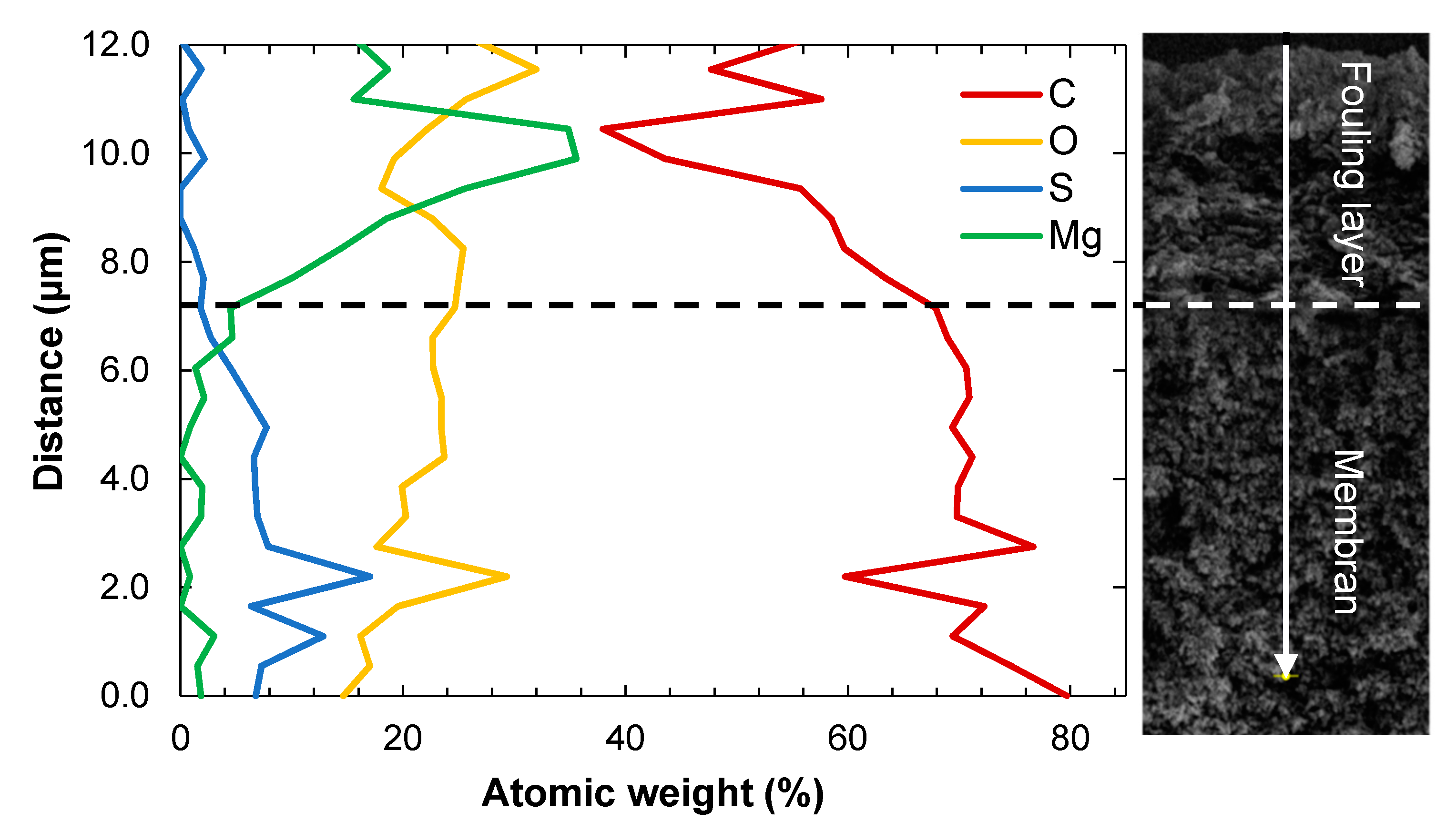 Membranes 11 00201 g004