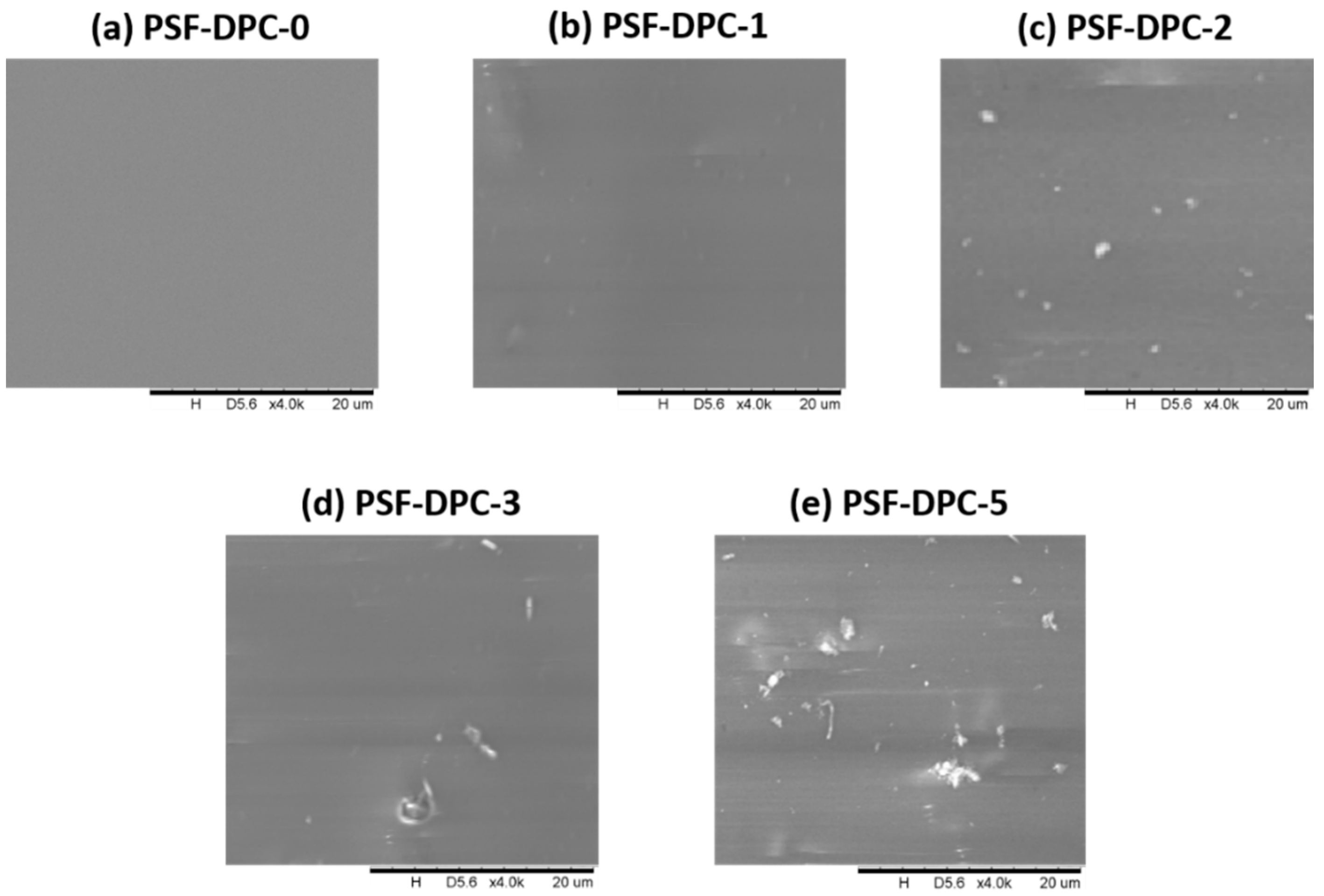 Membranes 11 00202 g002 Membranes 11 00202 g002