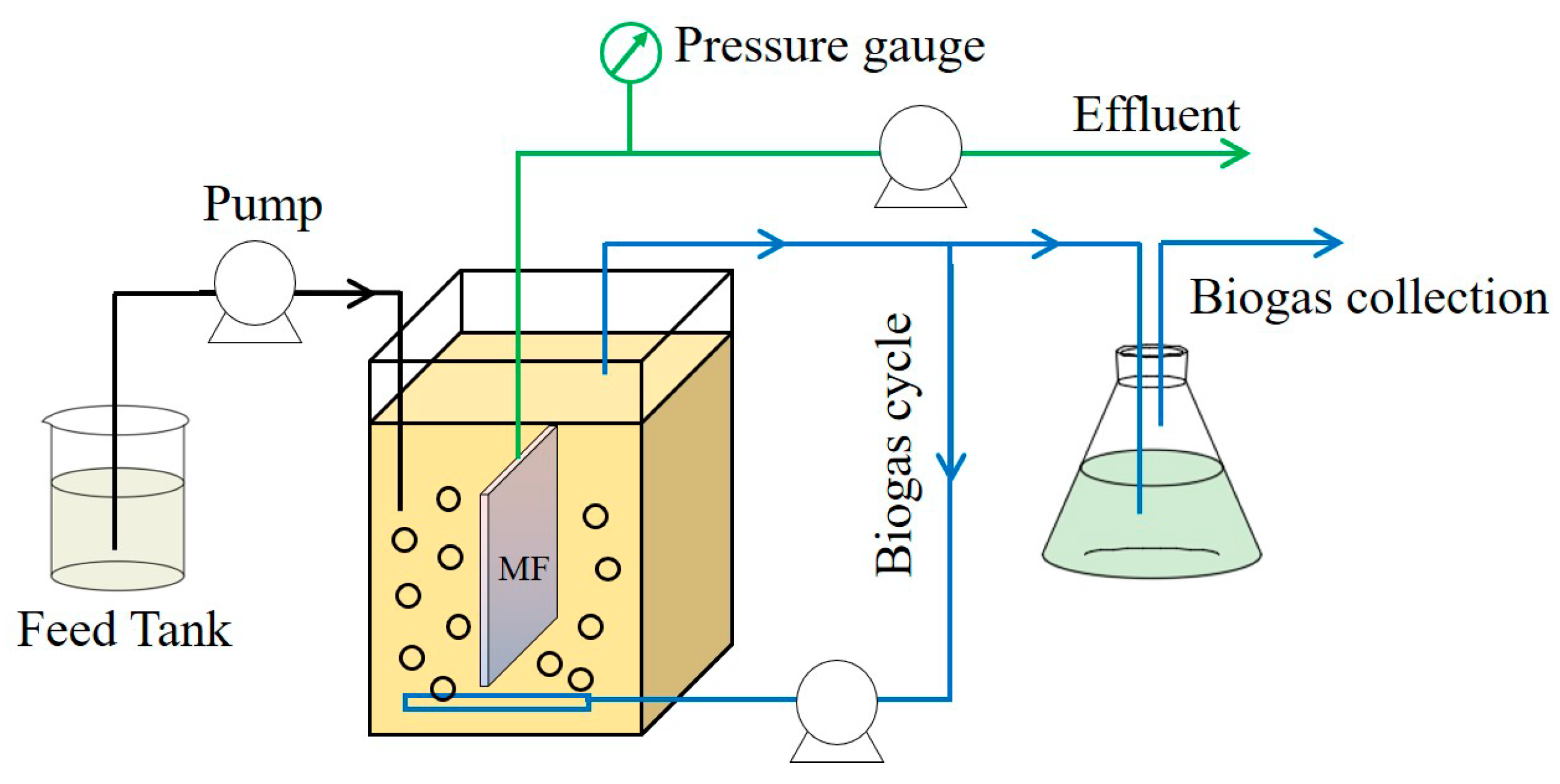 Membranes 11 00203 g001 Membranes 11 00203 g001