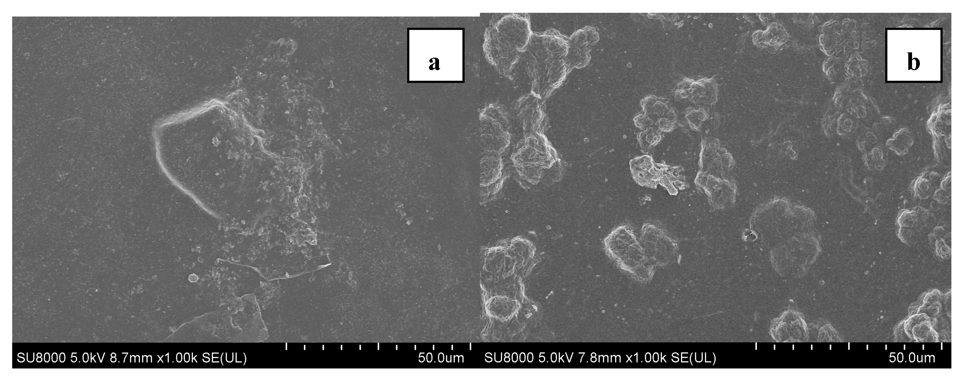 Membranes 11 00203 g003a Membranes 11 00203 g003a
