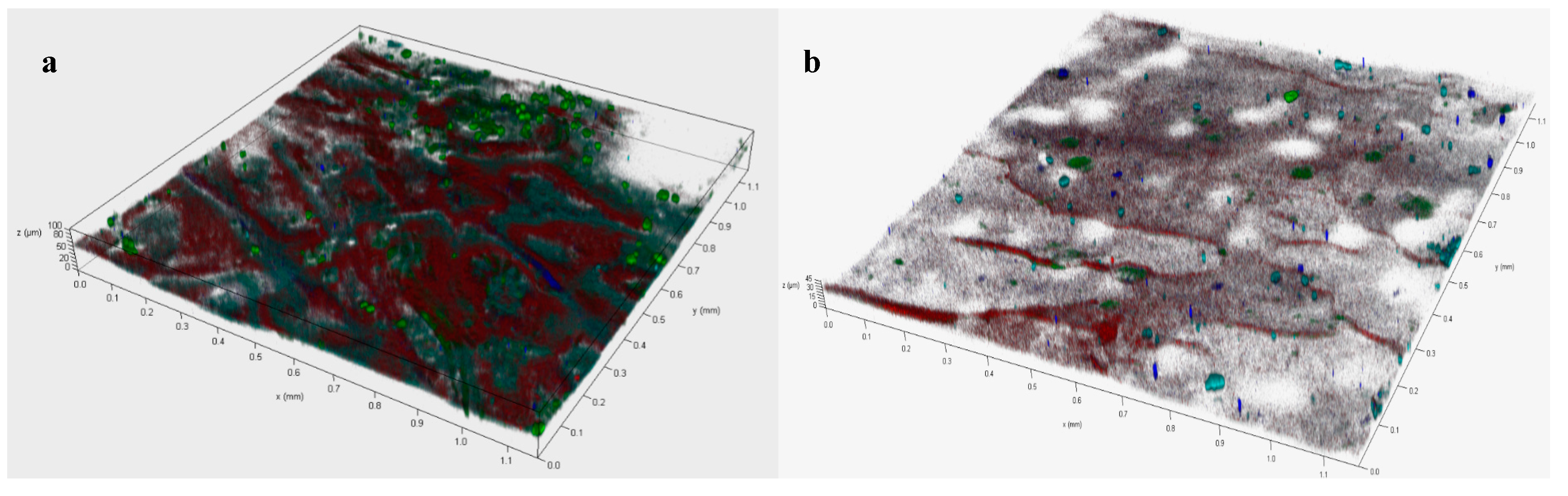 Membranes 11 00203 g004 Membranes 11 00203 g004