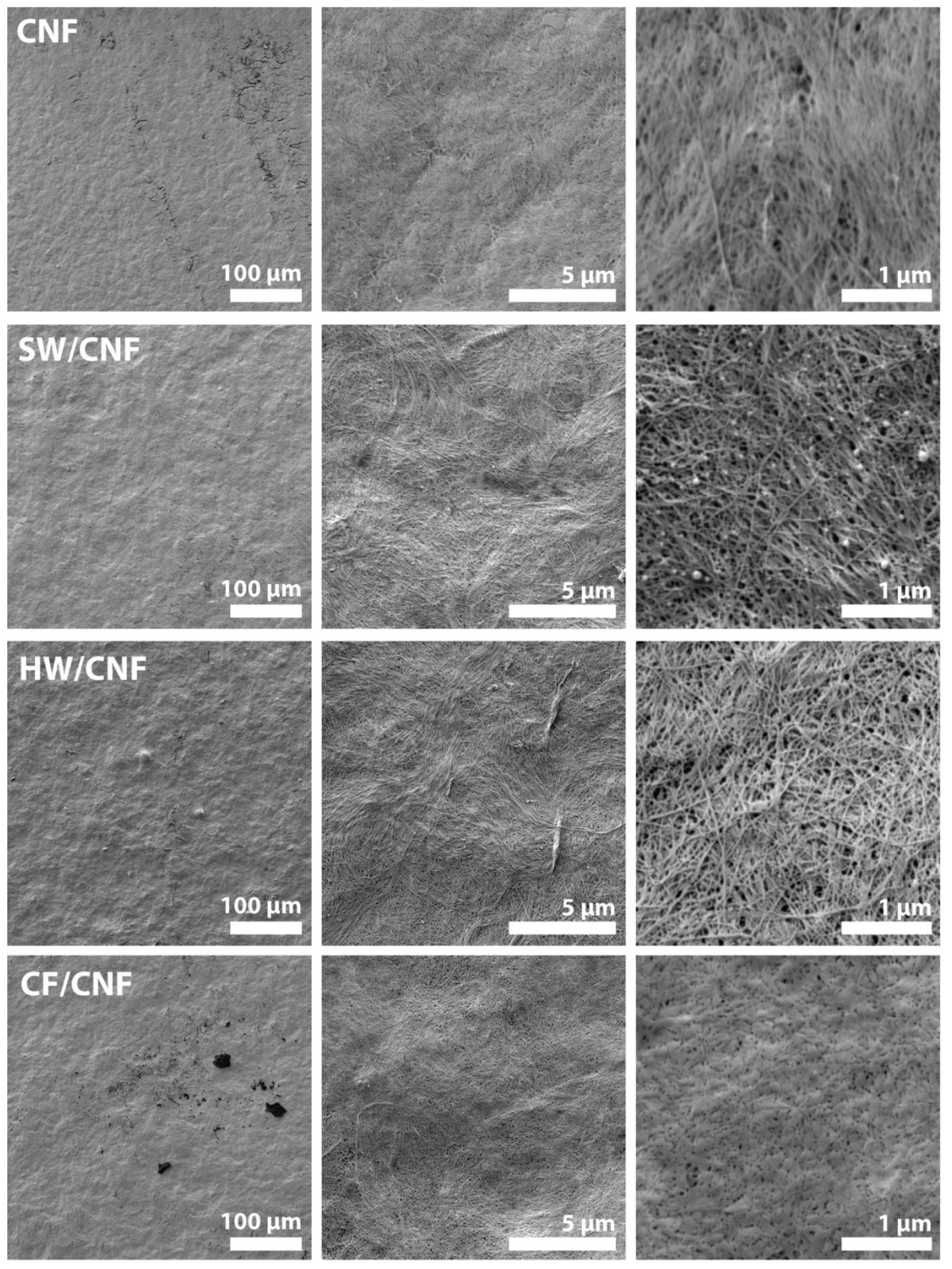 Membranes 11 00204 g003 Membranes 11 00204 g003
