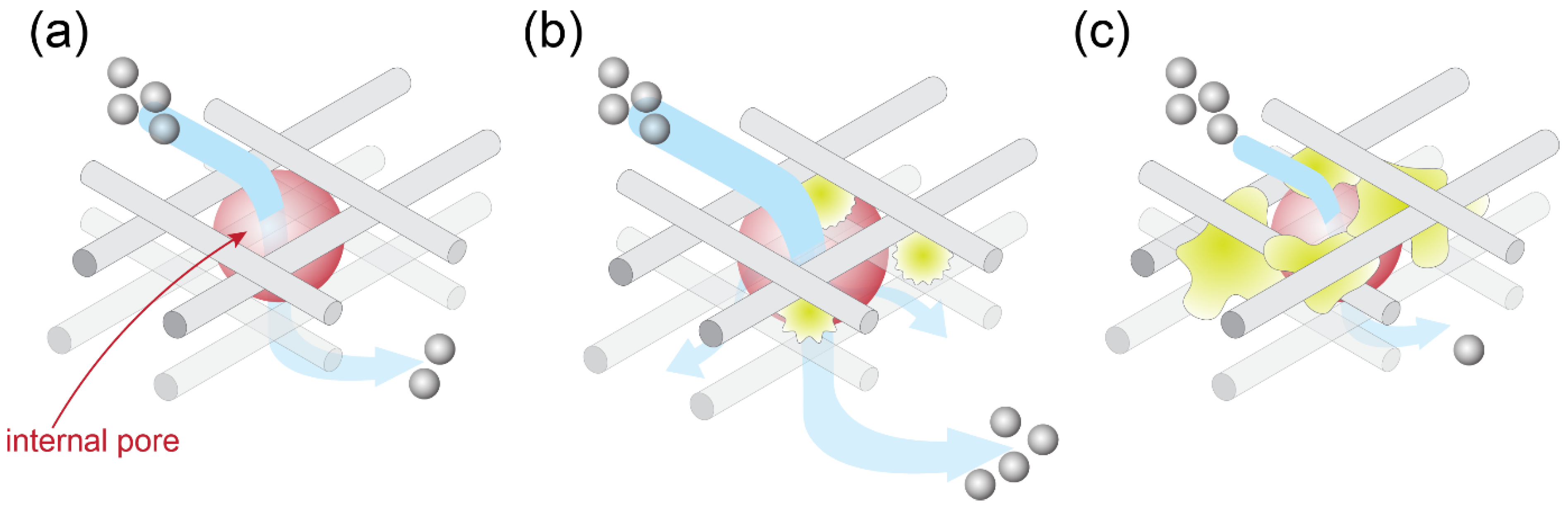 Membranes 11 00204 g011 Membranes 11 00204 g011