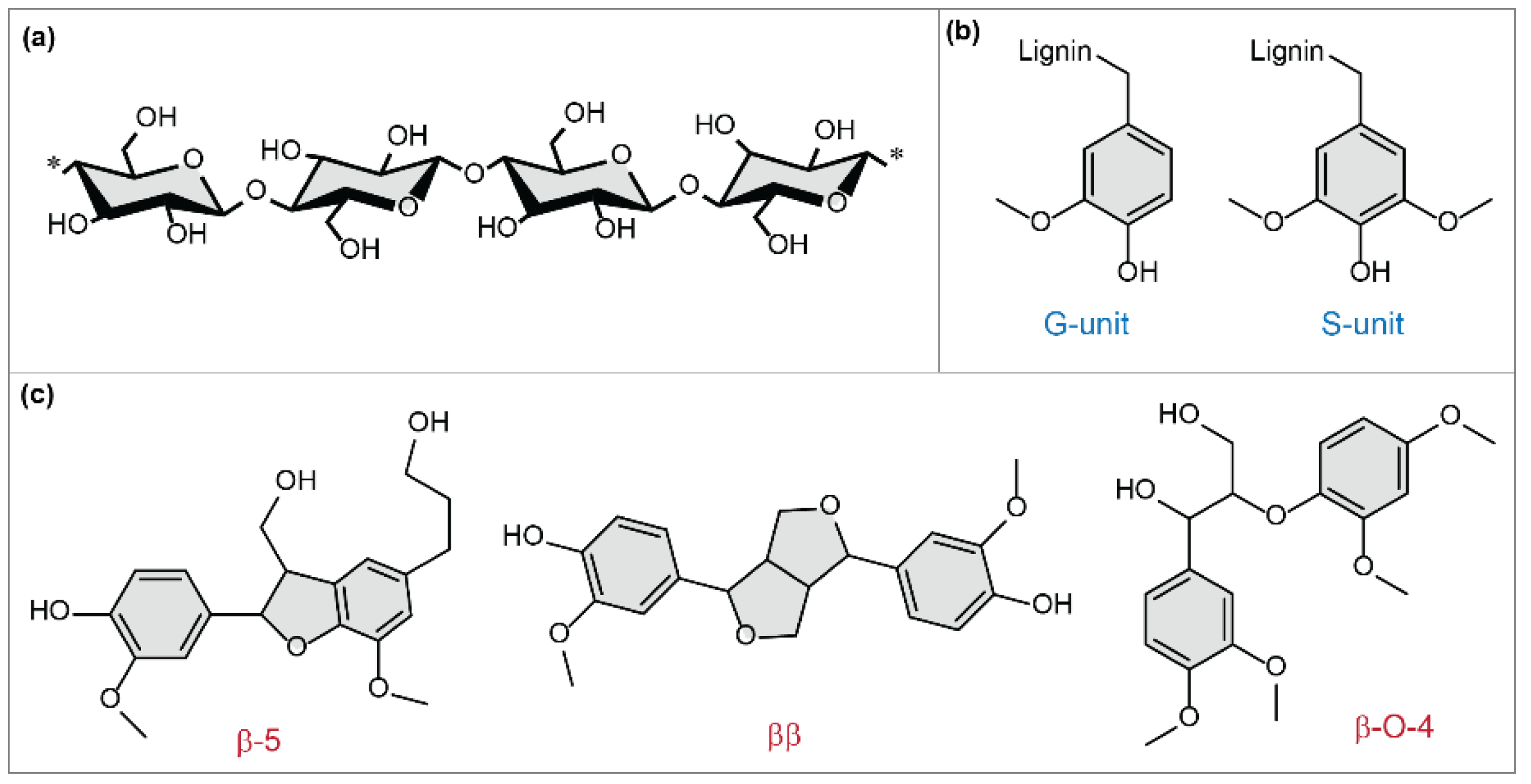 Membranes 11 00204 sch001 Membranes 11 00204 sch001