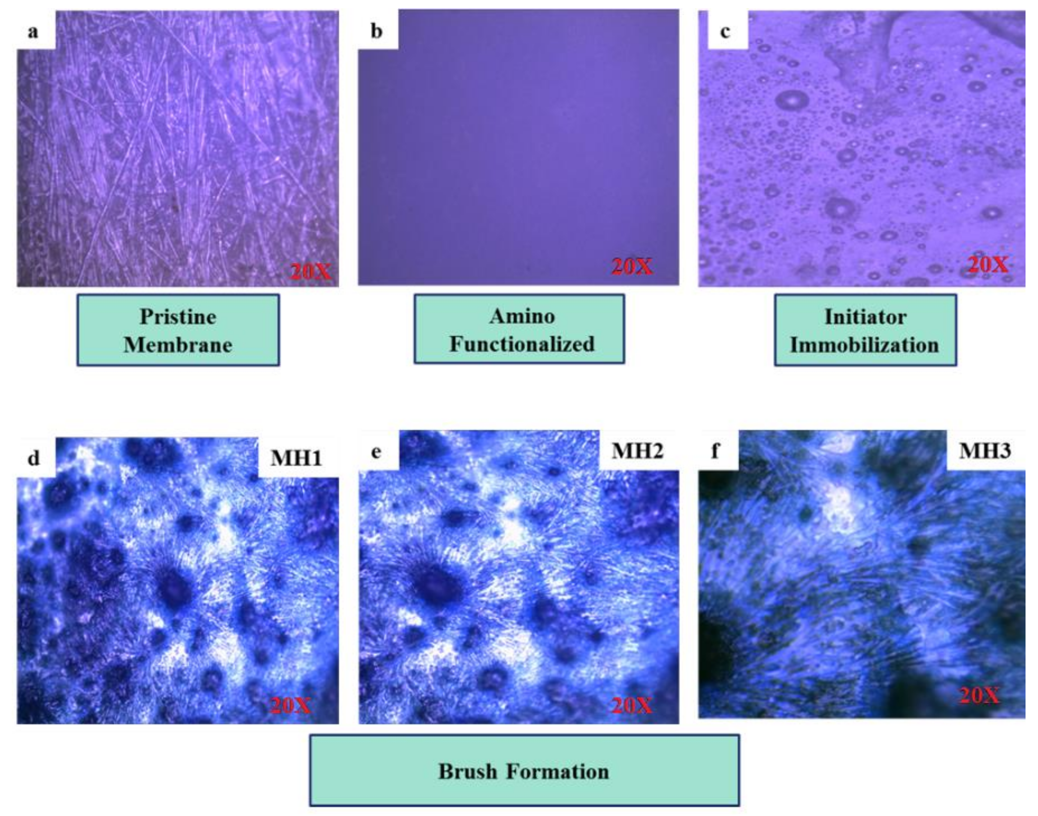 Membranes 11 00213 g002 Membranes 11 00213 g002