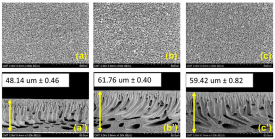 うp Perm-selective ultrathin high flux microporous polyaryl