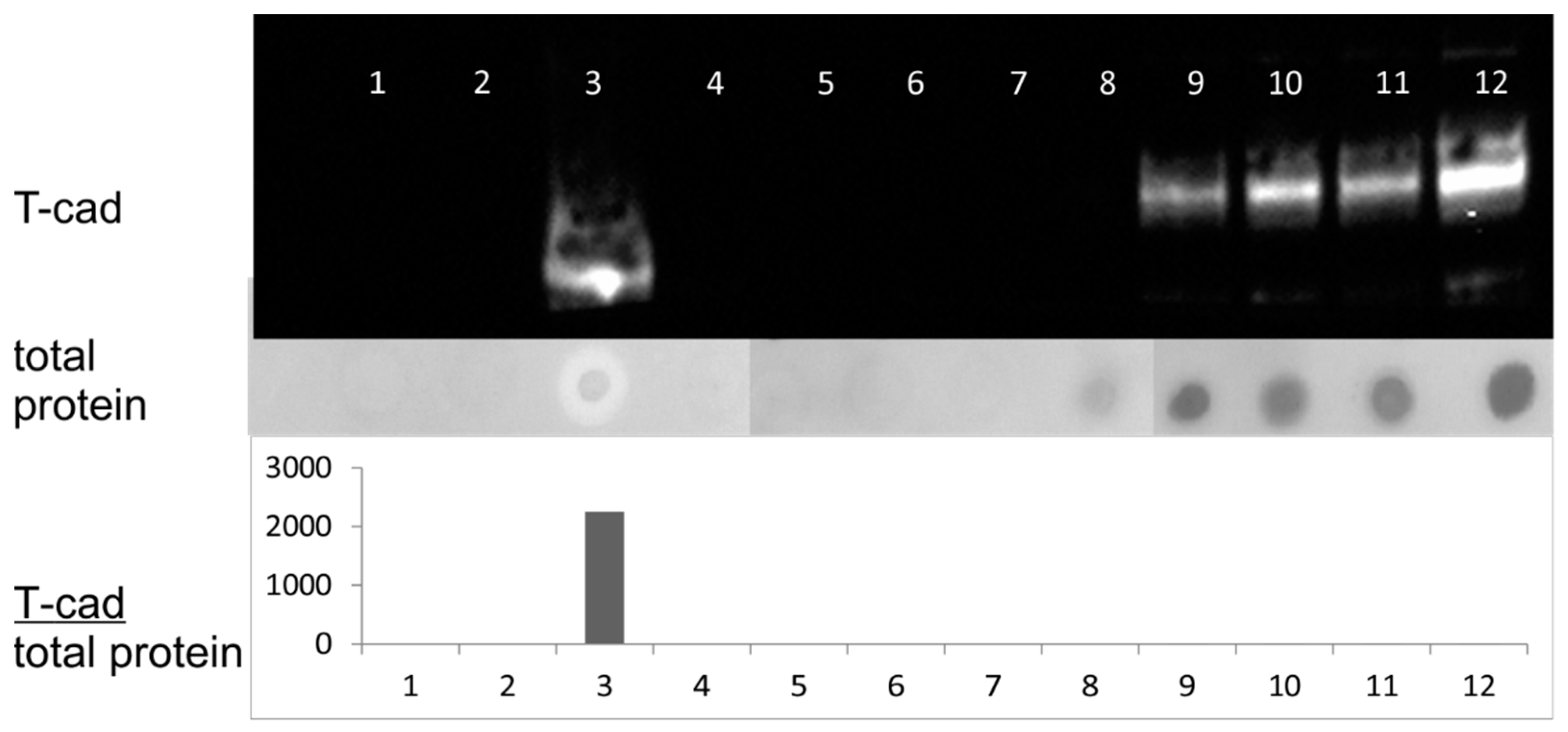 Membranes 11 00218 g007 Membranes 11 00218 g007