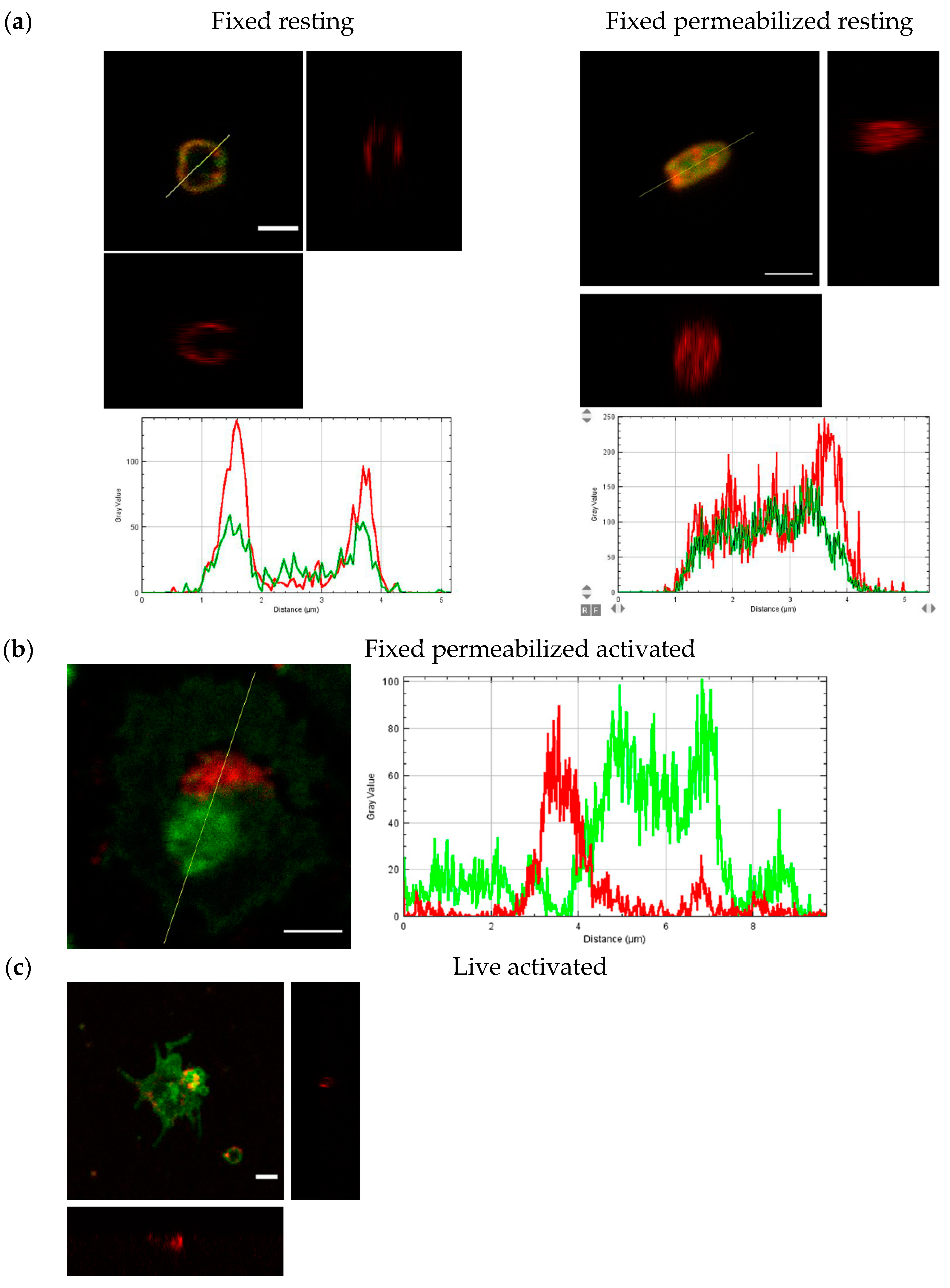 Membranes 11 00218 g008 Membranes 11 00218 g008