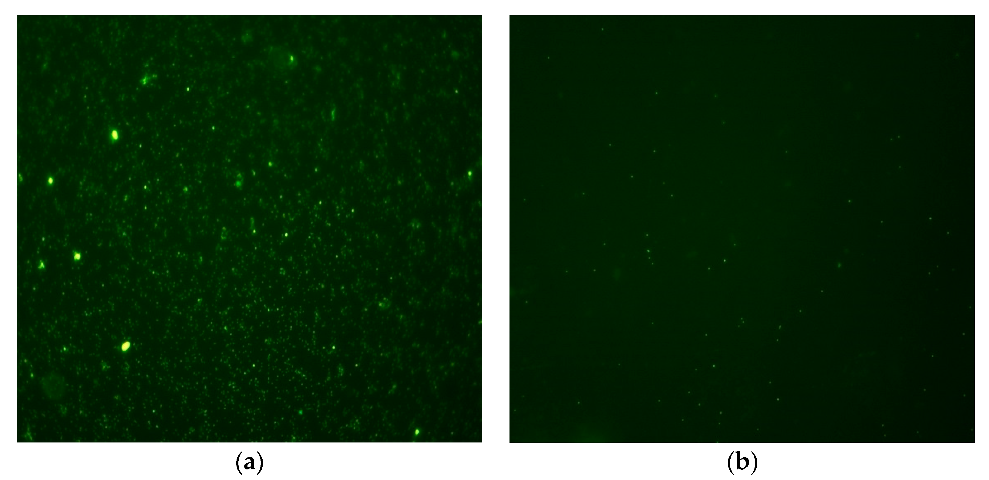 Membranes 11 00221 g008 Membranes 11 00221 g008