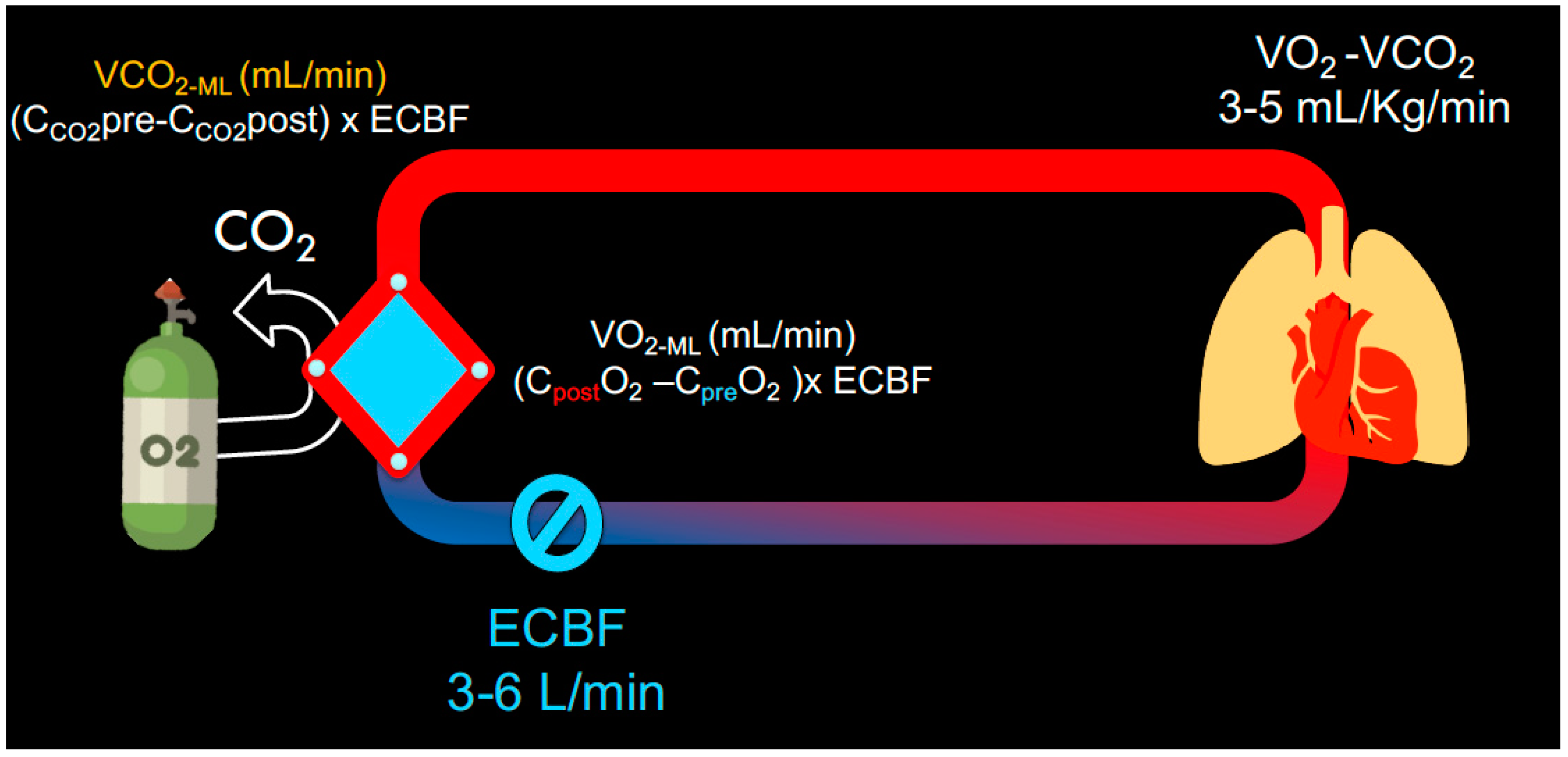 Membranes 11 00225 g002