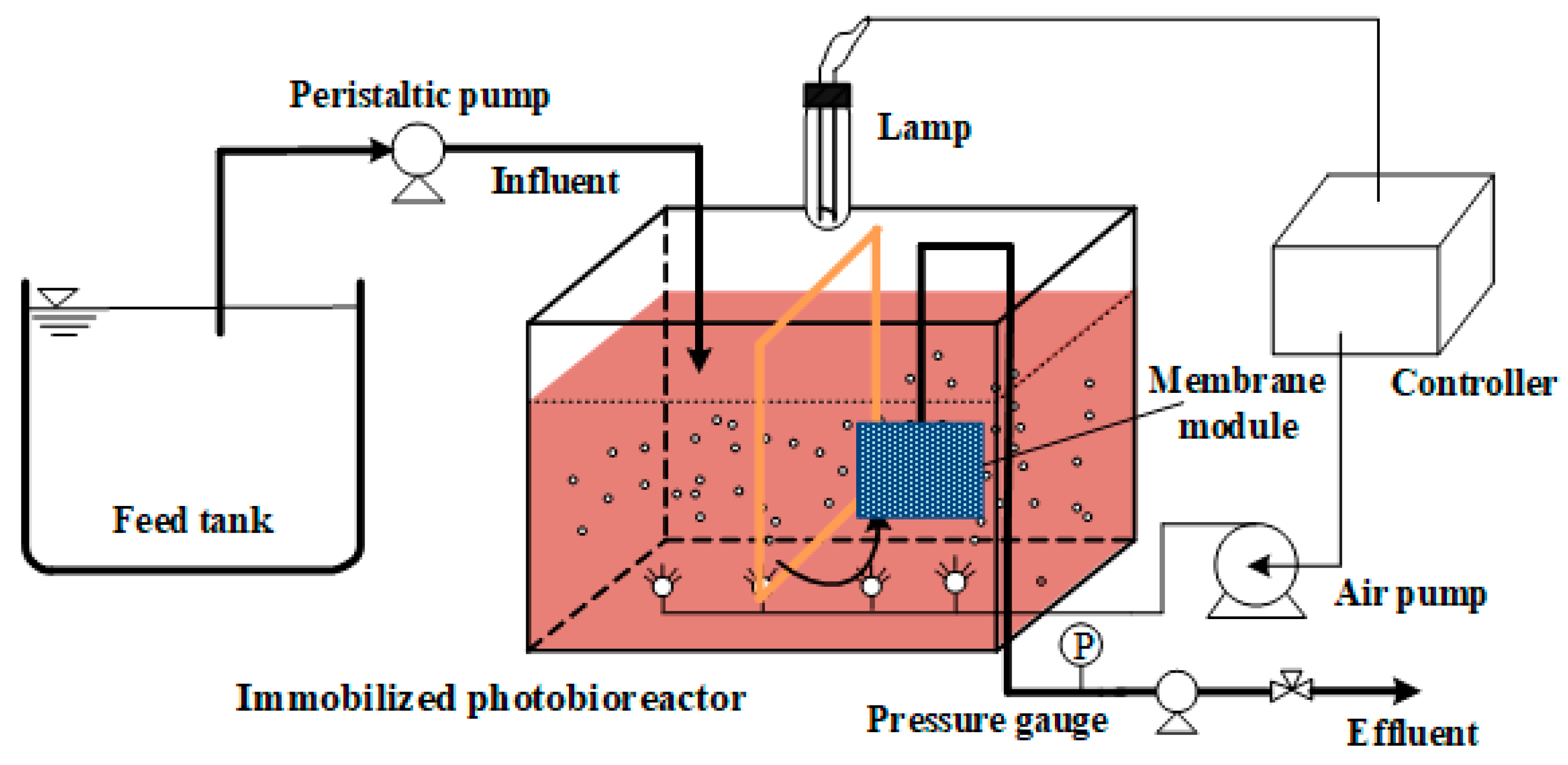 Membranes 11 00226 g001 Membranes 11 00226 g001
