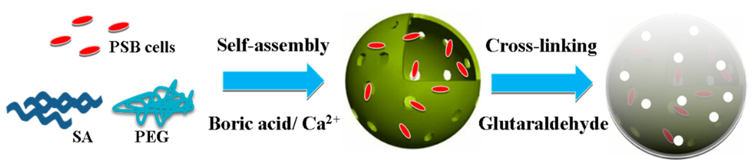 Membranes 11 00226 g003 Membranes 11 00226 g003