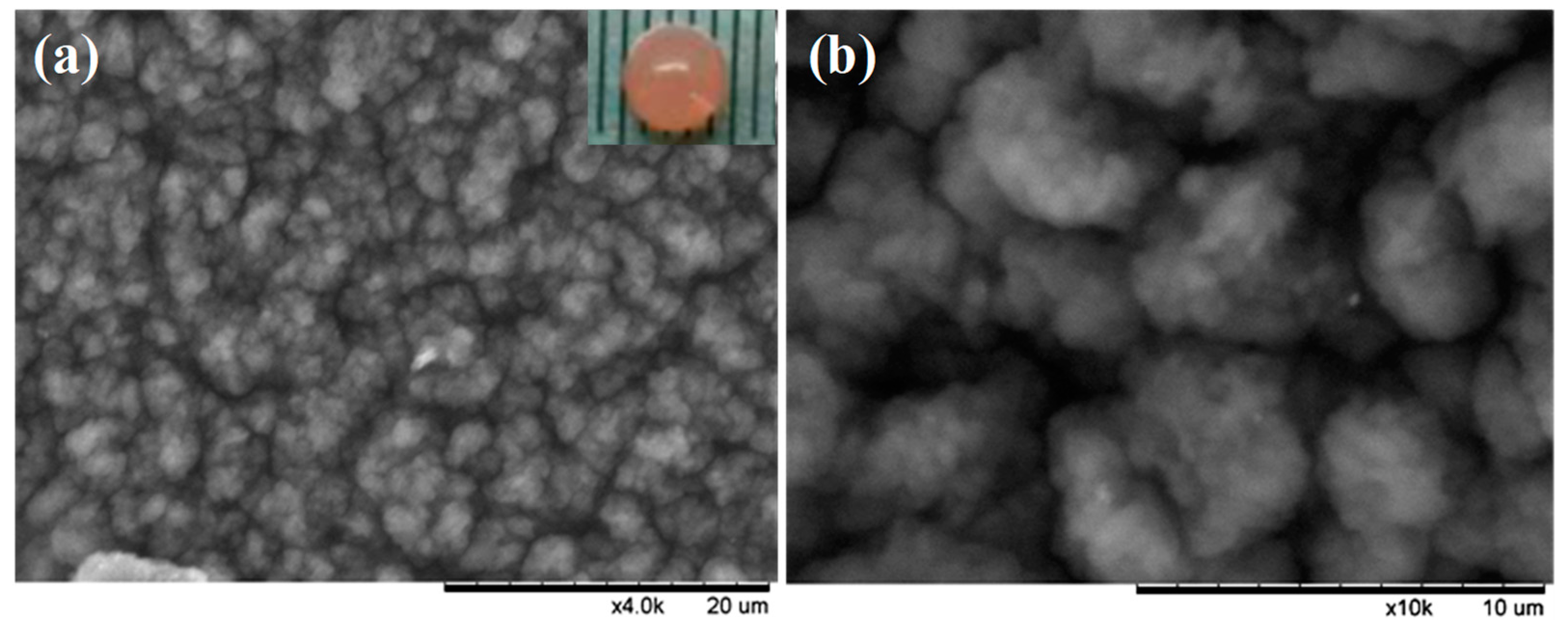 Membranes 11 00226 g004 Membranes 11 00226 g004