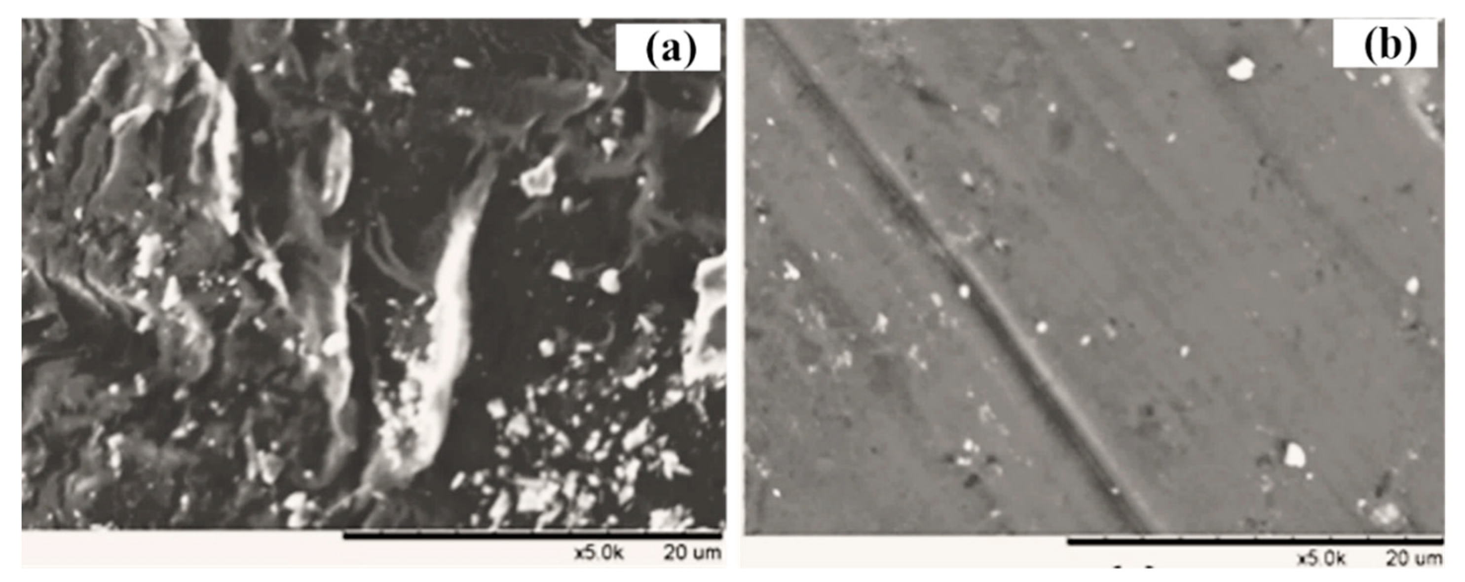 Membranes 11 00226 g008 Membranes 11 00226 g008