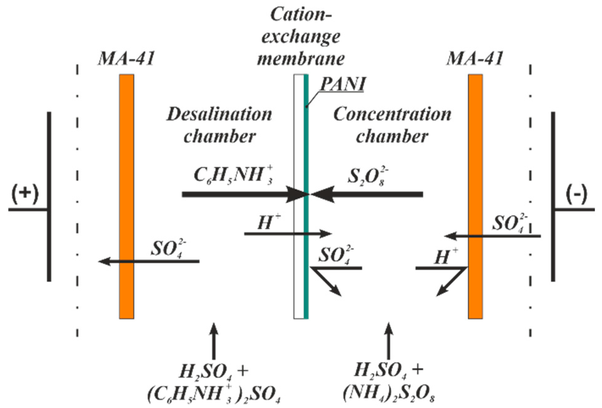 Membranes Free FullText Permselectivity of Cation Exchange