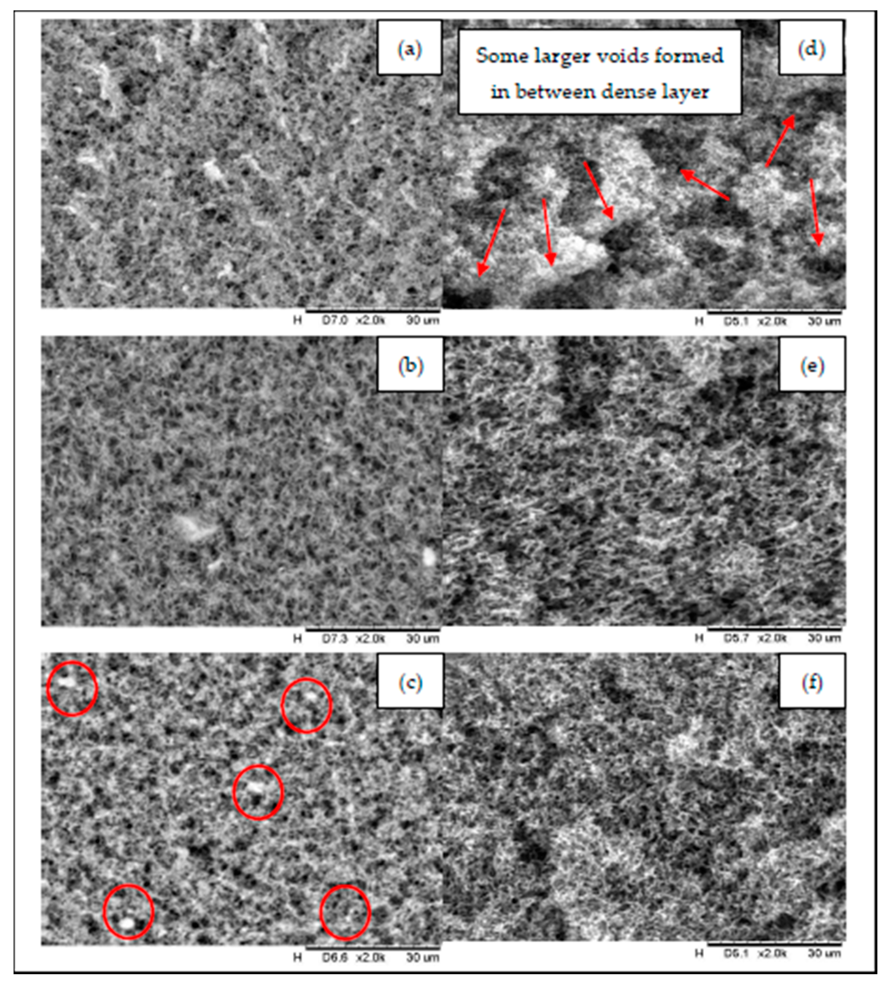 Membranes 11 00228 g002 Membranes 11 00228 g002