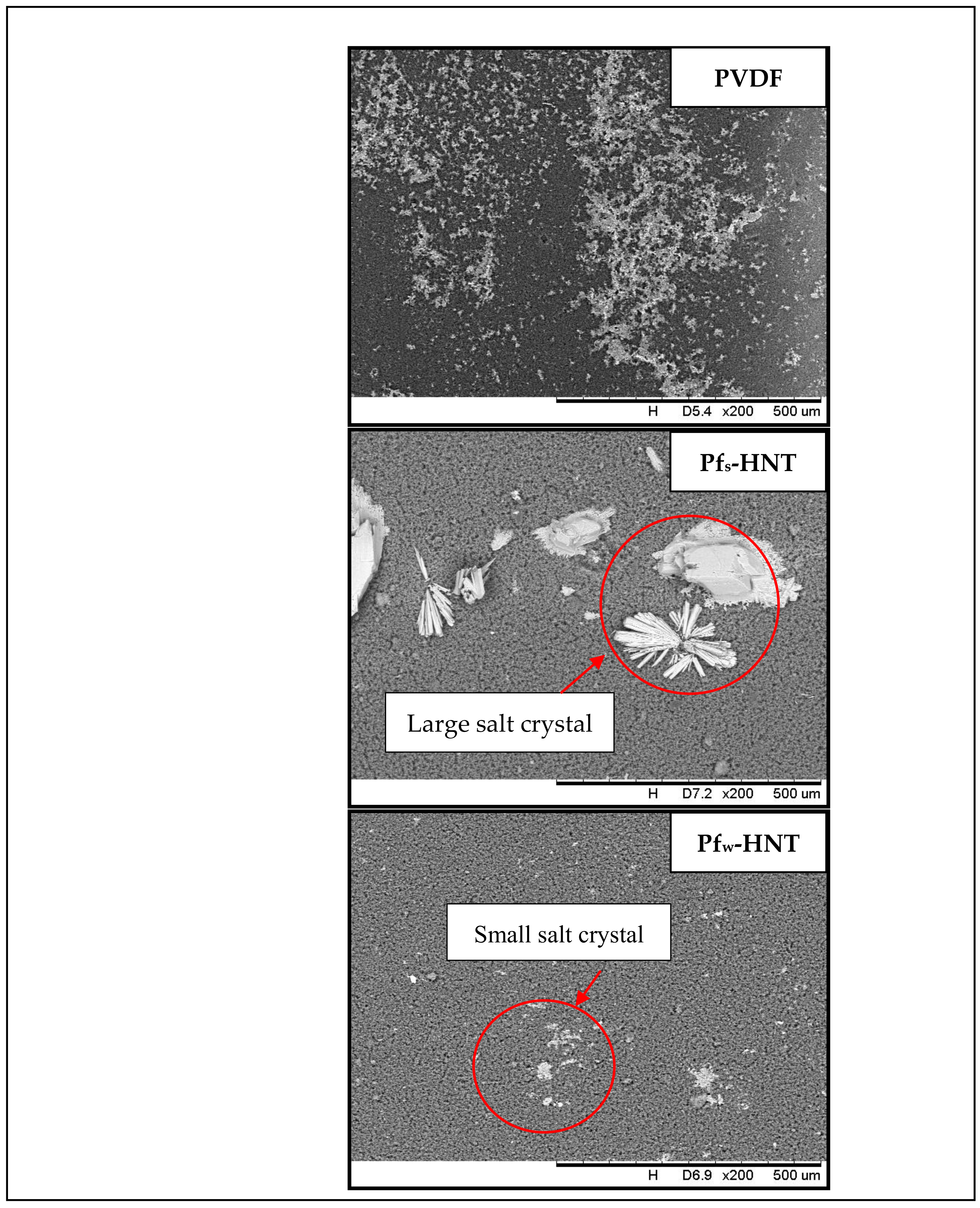 Membranes 11 00228 g009 Membranes 11 00228 g009