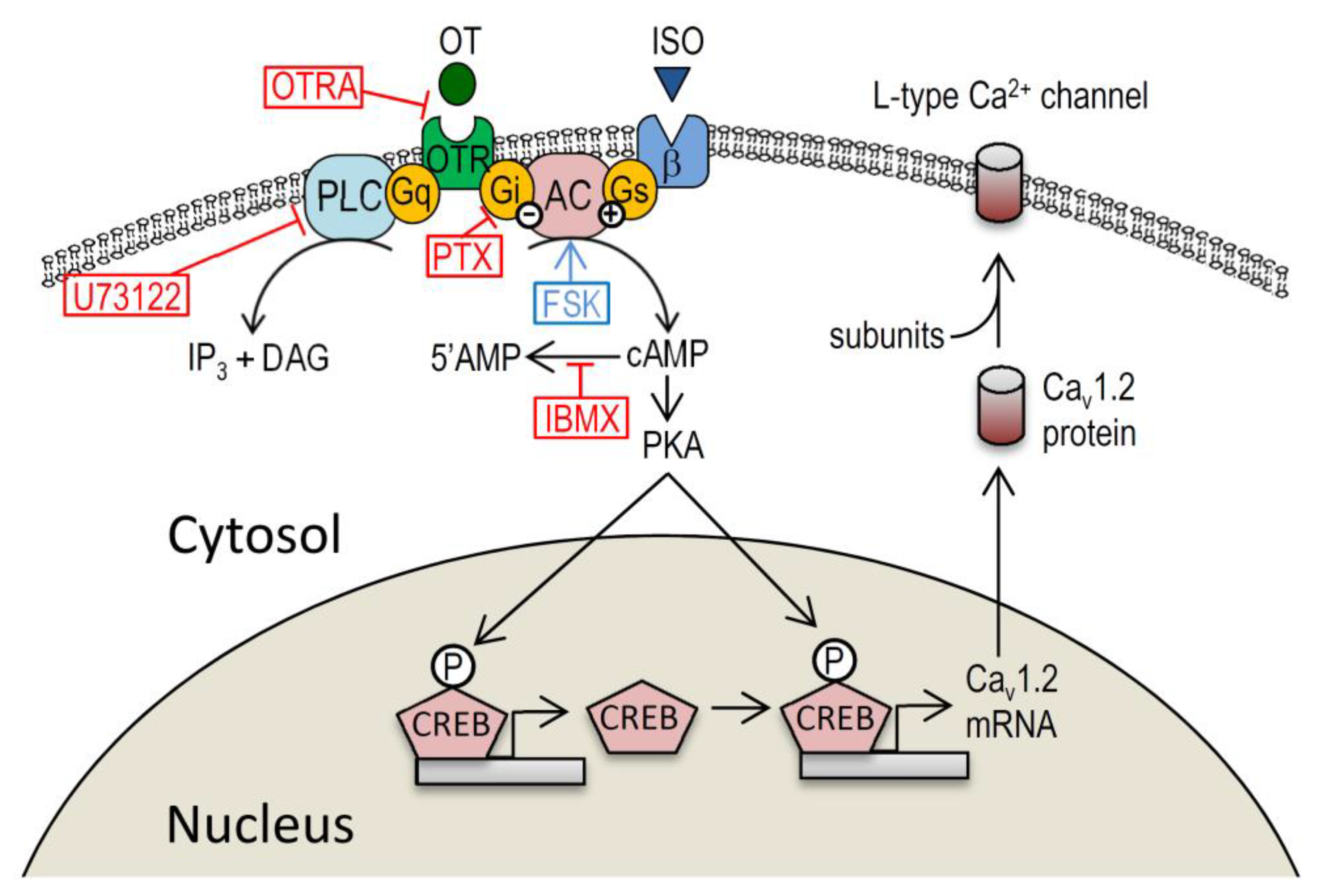 Membranes 11 00234 g006