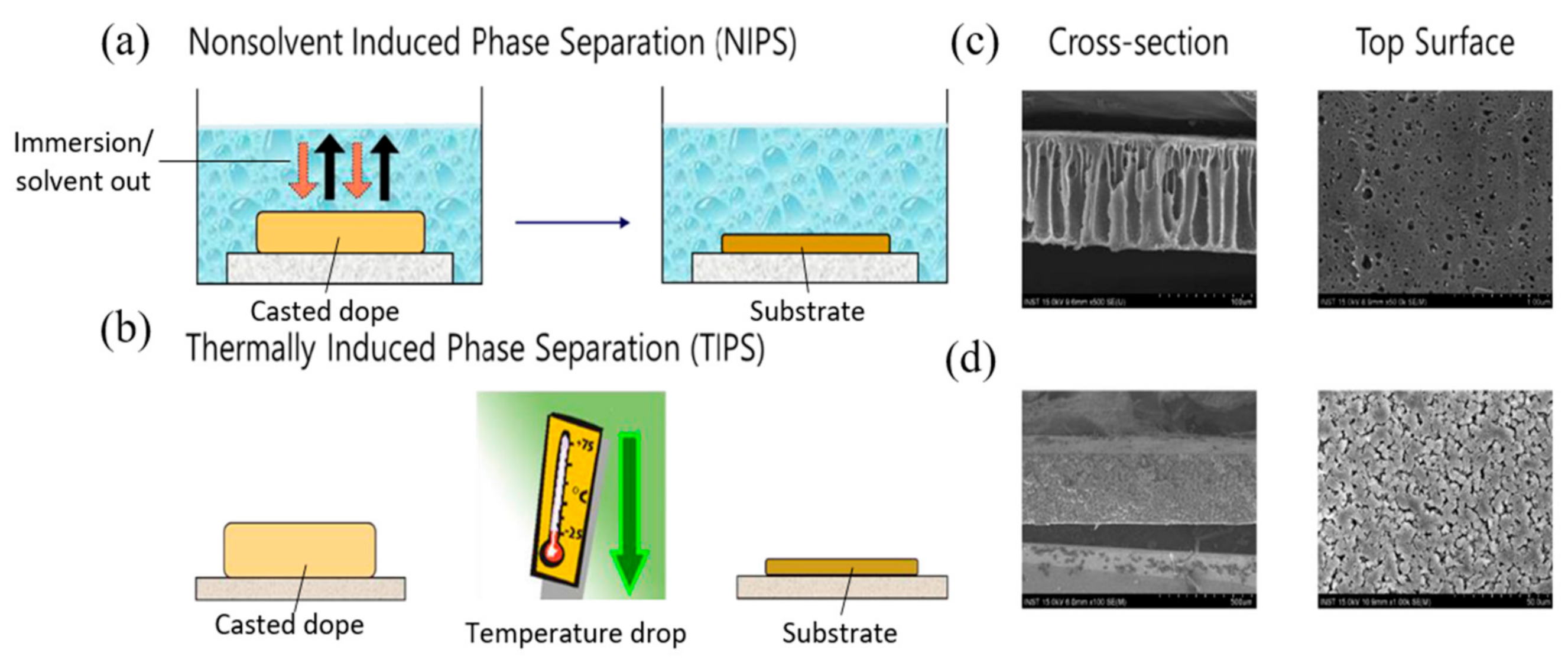 Membranes 11 00235 g001 Membranes 11 00235 g001