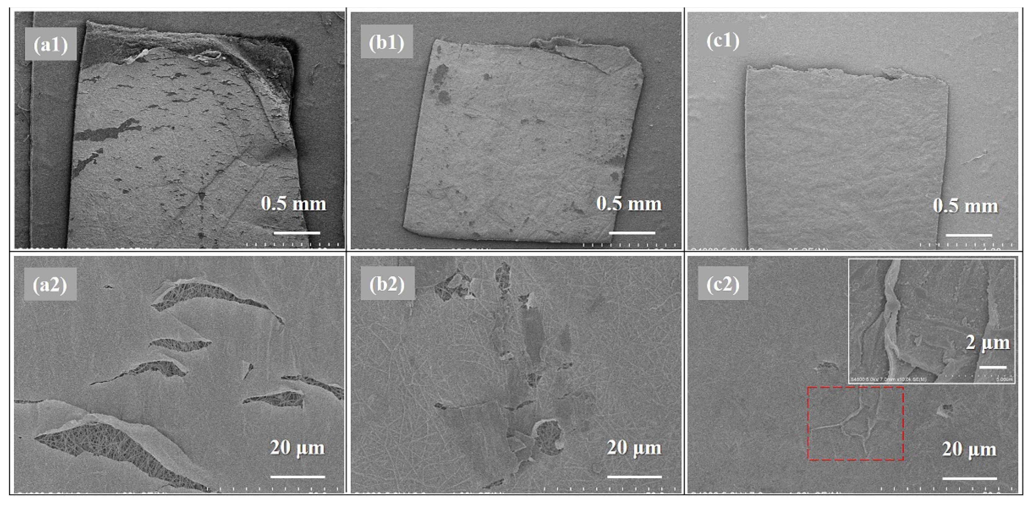 Membranes 11 00237 g009